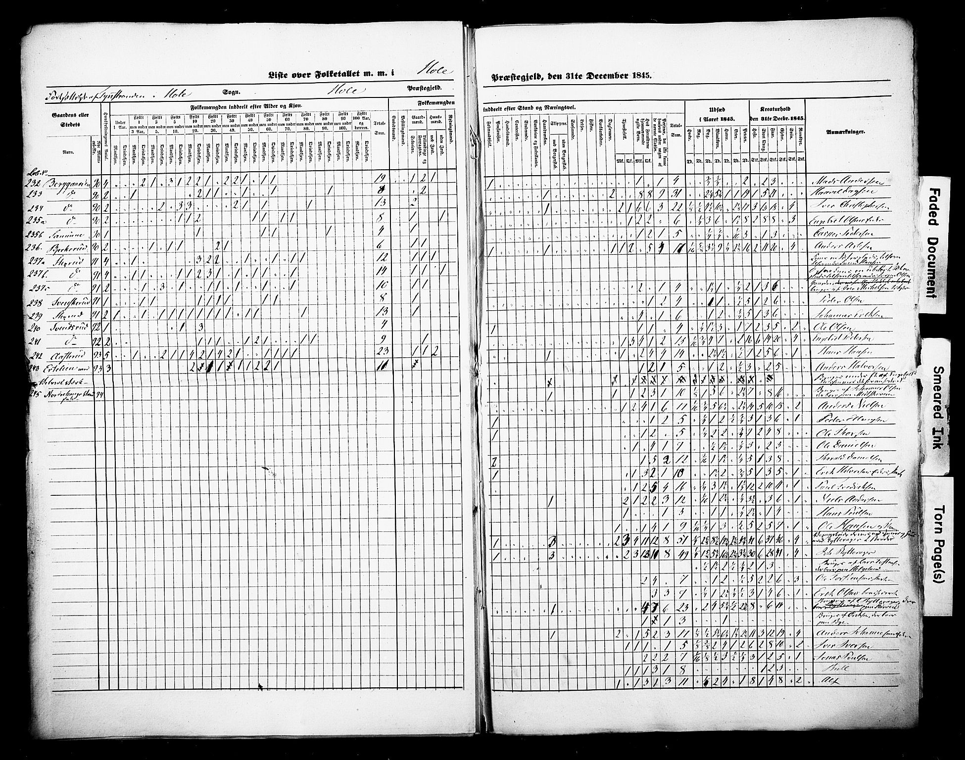 , Census 1845 for Hole, 1845, p. 10