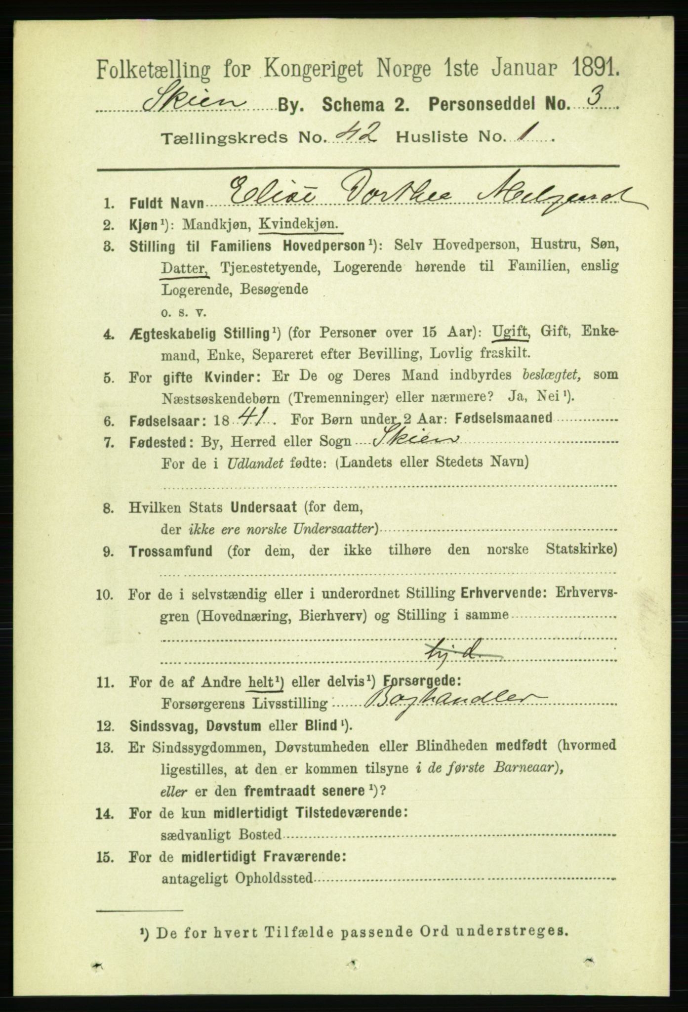 RA, 1891 census for 0806 Skien, 1891, p. 8505