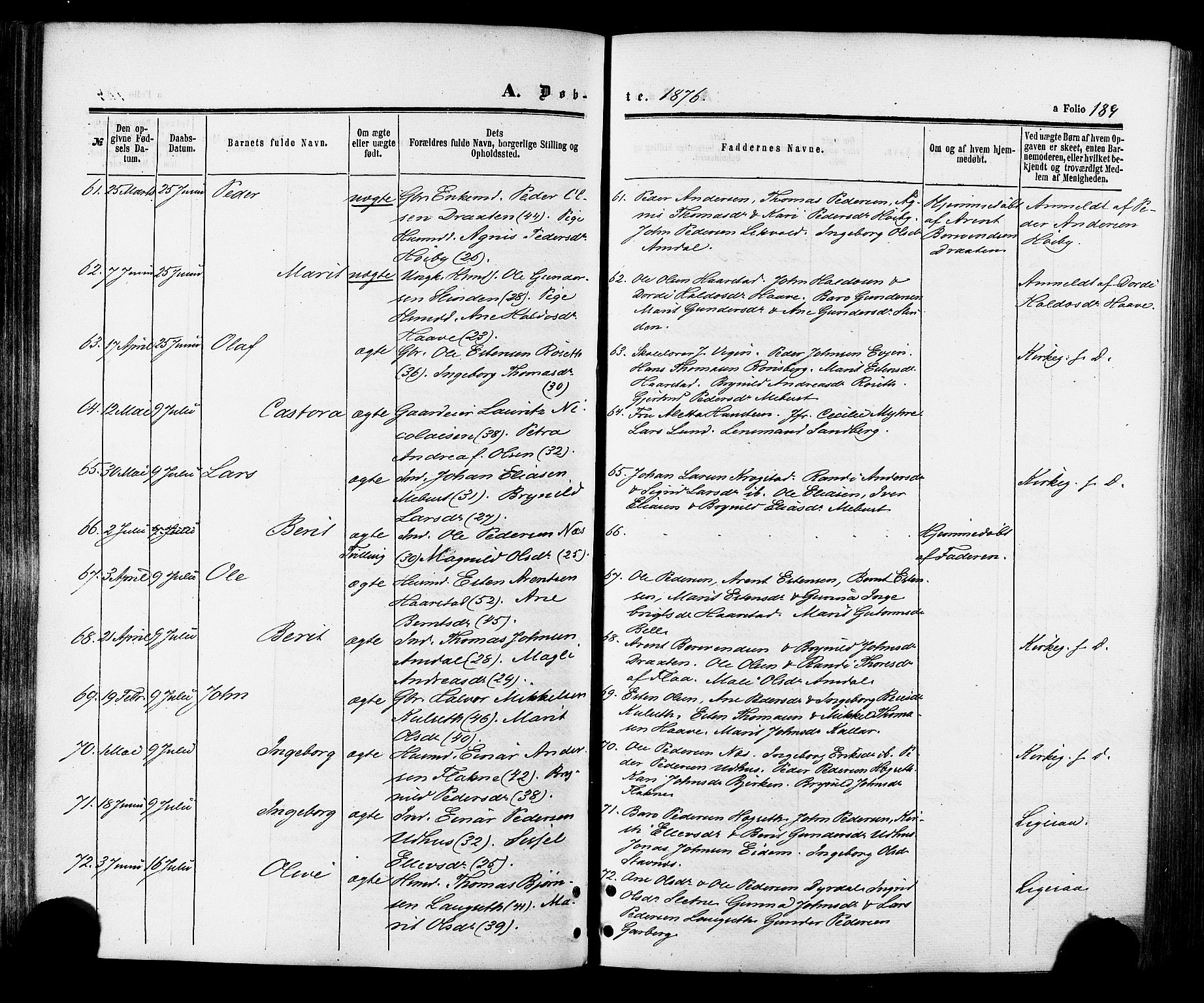 Ministerialprotokoller, klokkerbøker og fødselsregistre - Sør-Trøndelag, AV/SAT-A-1456/695/L1147: Parish register (official) no. 695A07, 1860-1877, p. 189