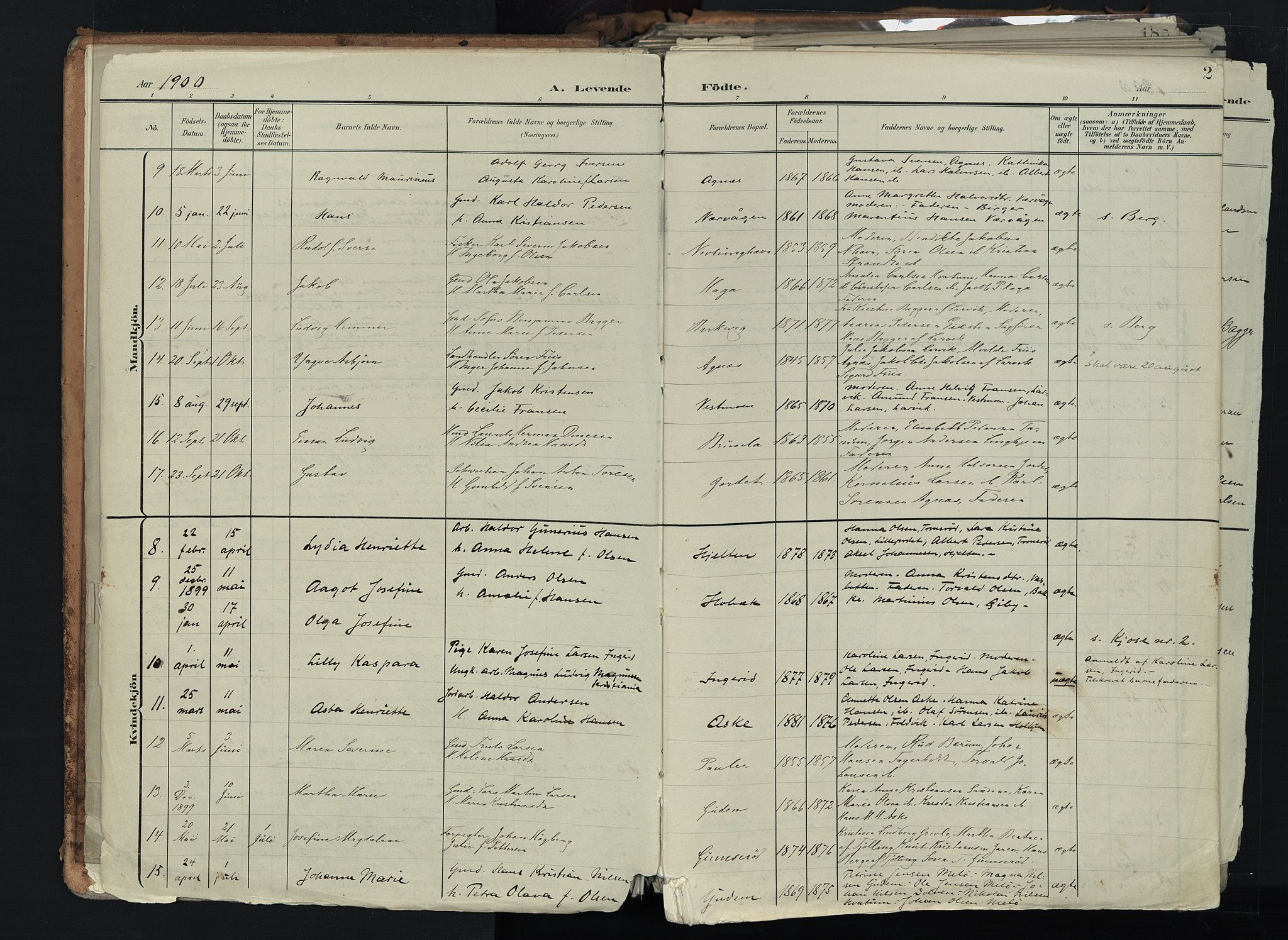 Brunlanes kirkebøker, AV/SAKO-A-342/F/Fc/L0003: Parish register (official) no. III 3, 1900-1922, p. 2