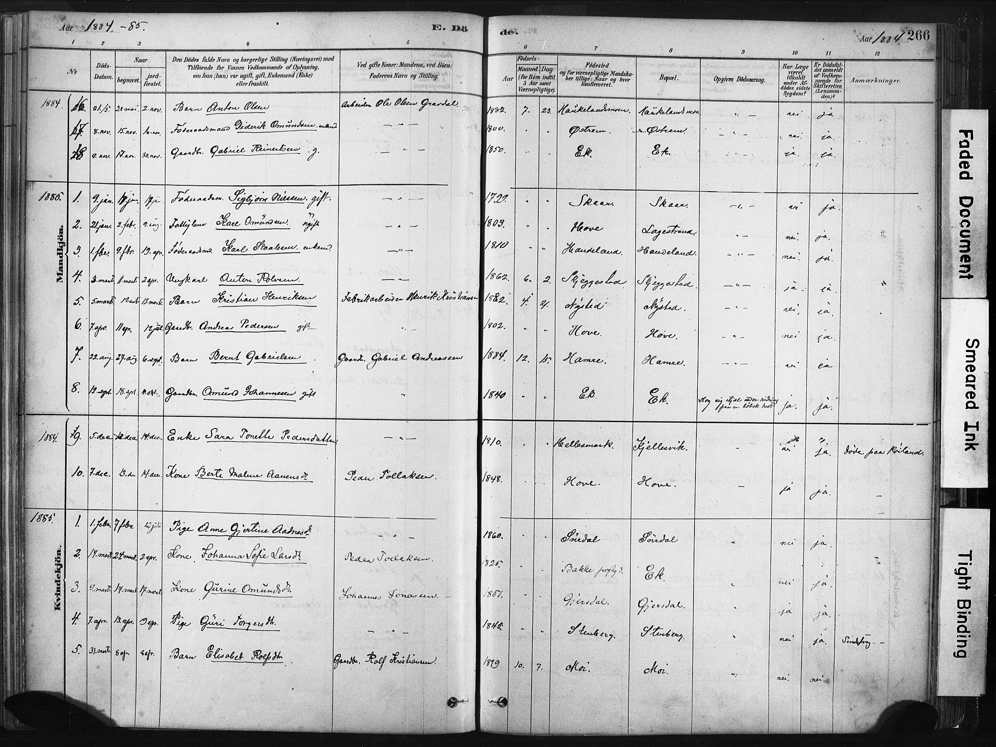 Lund sokneprestkontor, SAST/A-101809/S06/L0011: Parish register (official) no. A 10, 1877-1904, p. 266