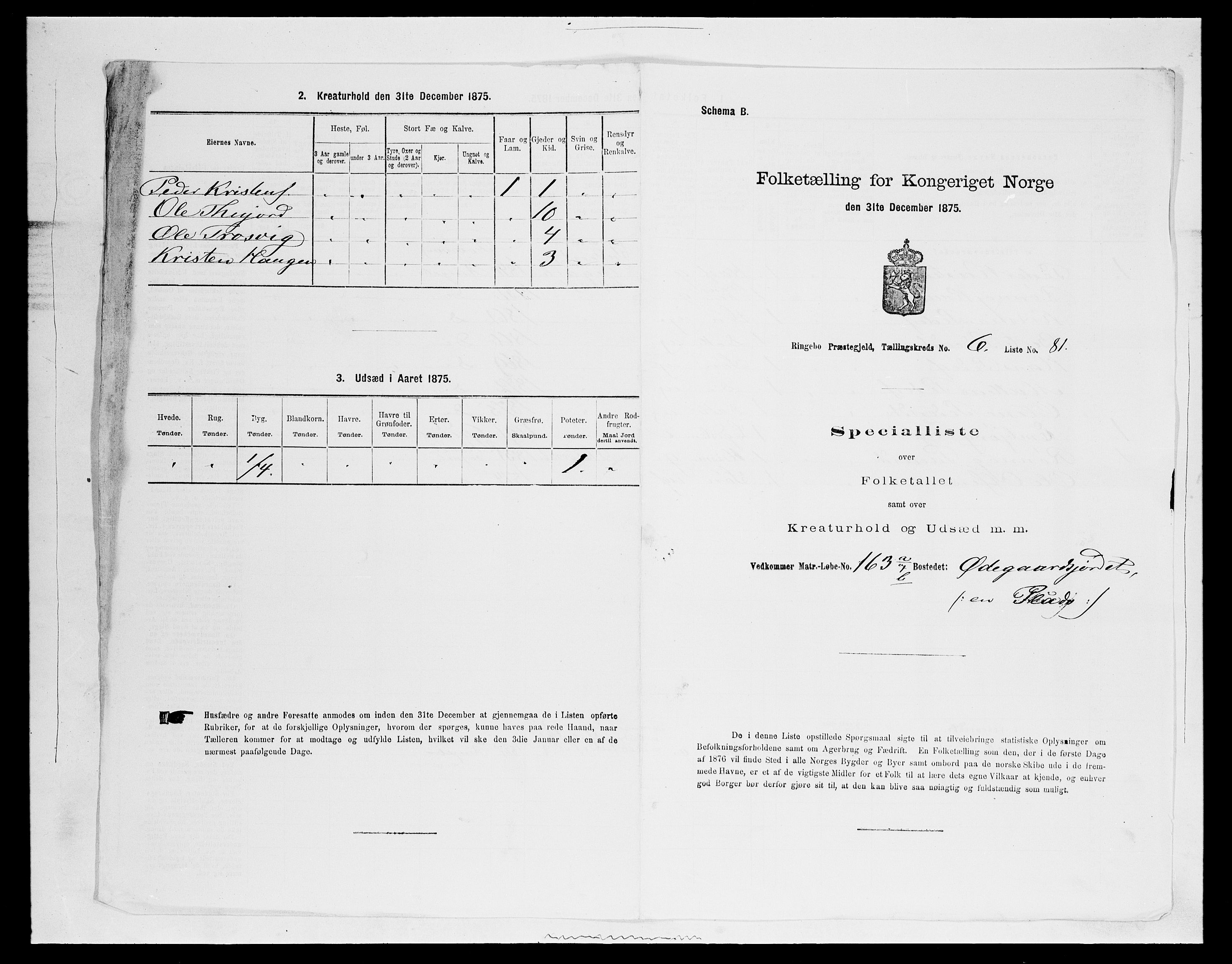 SAH, 1875 census for 0520P Ringebu, 1875, p. 1001