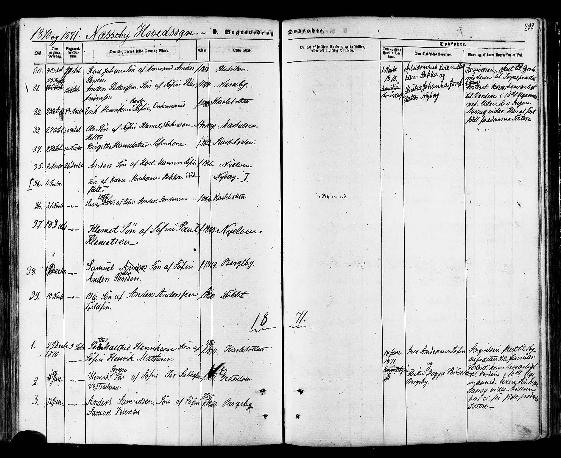 Nesseby sokneprestkontor, SATØ/S-1330/H/Ha/L0003kirke: Parish register (official) no. 3 /1, 1865-1876, p. 238