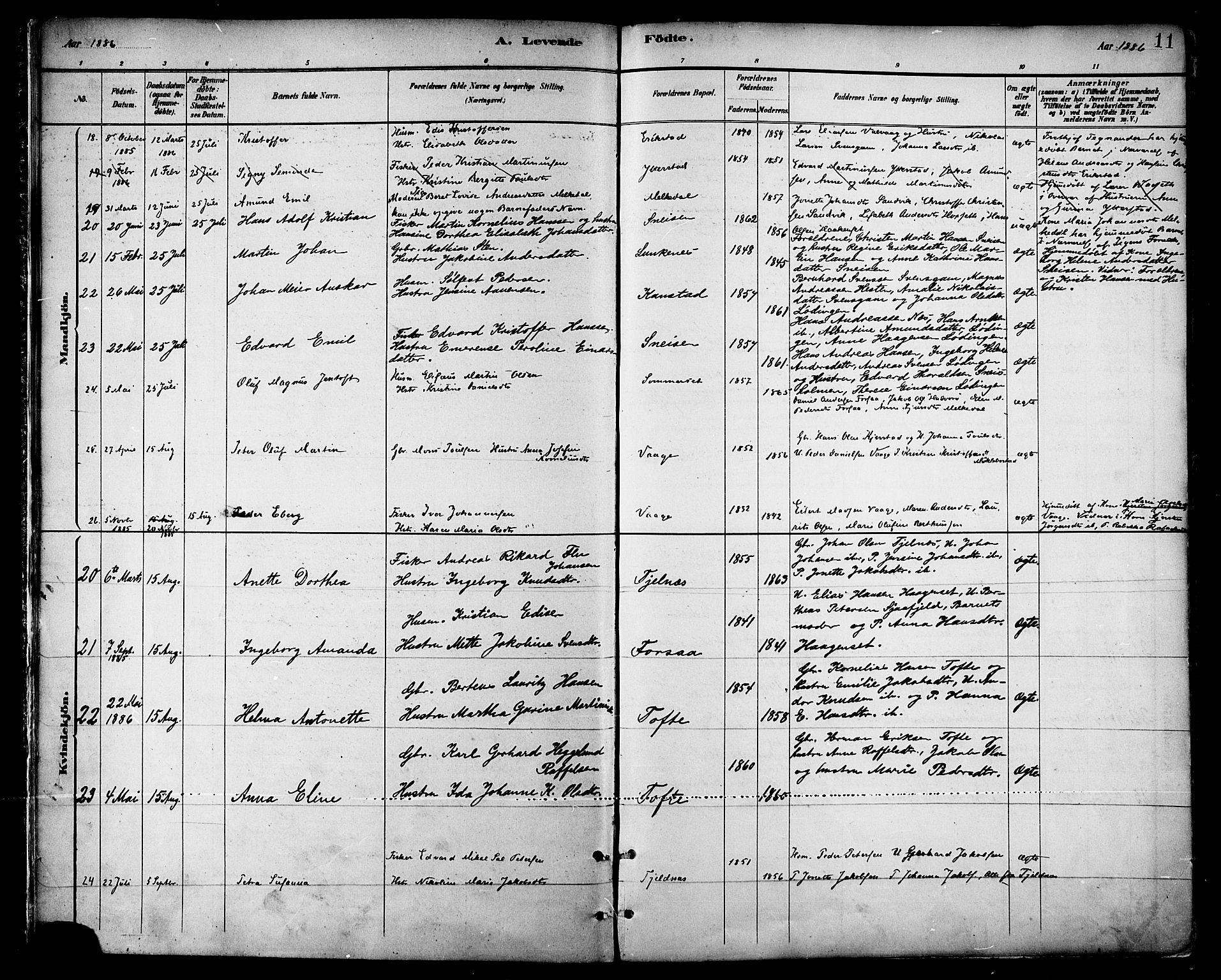 Ministerialprotokoller, klokkerbøker og fødselsregistre - Nordland, SAT/A-1459/872/L1035: Parish register (official) no. 872A10, 1884-1896, p. 11