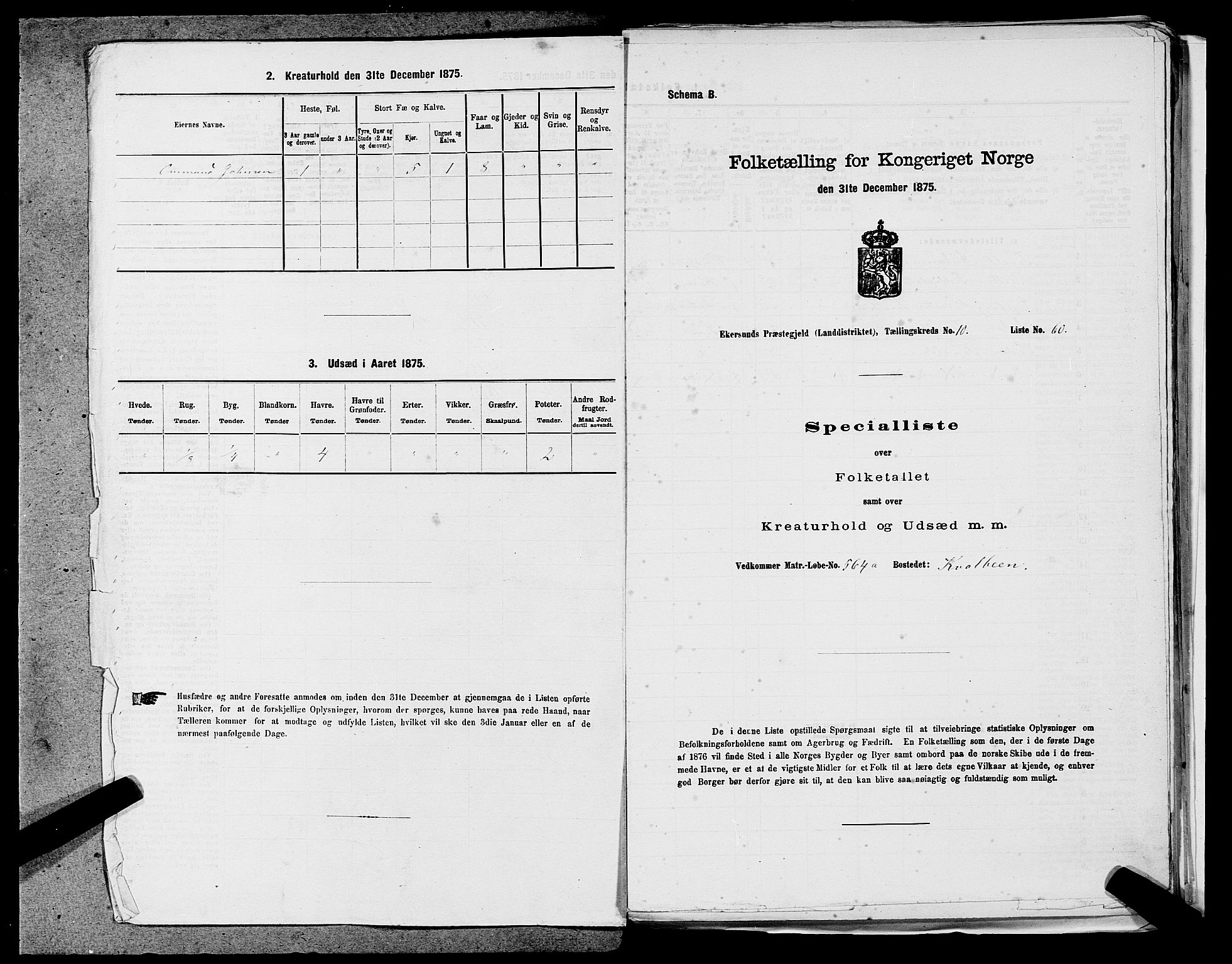 SAST, 1875 census for 1116L Eigersund/Eigersund og Ogna, 1875, p. 1101