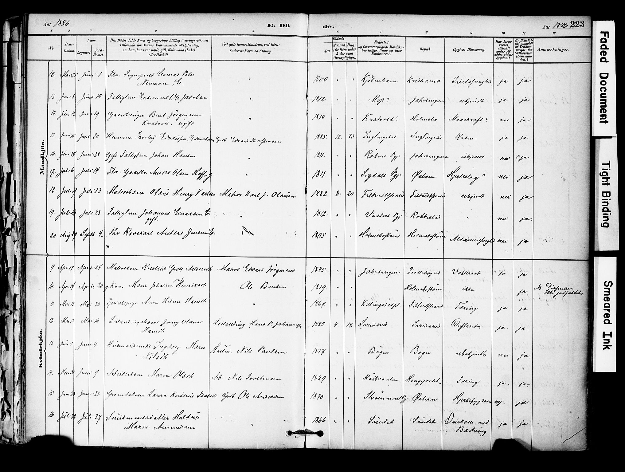 Hurum kirkebøker, AV/SAKO-A-229/F/Fa/L0014: Parish register (official) no. 14, 1882-1895, p. 223