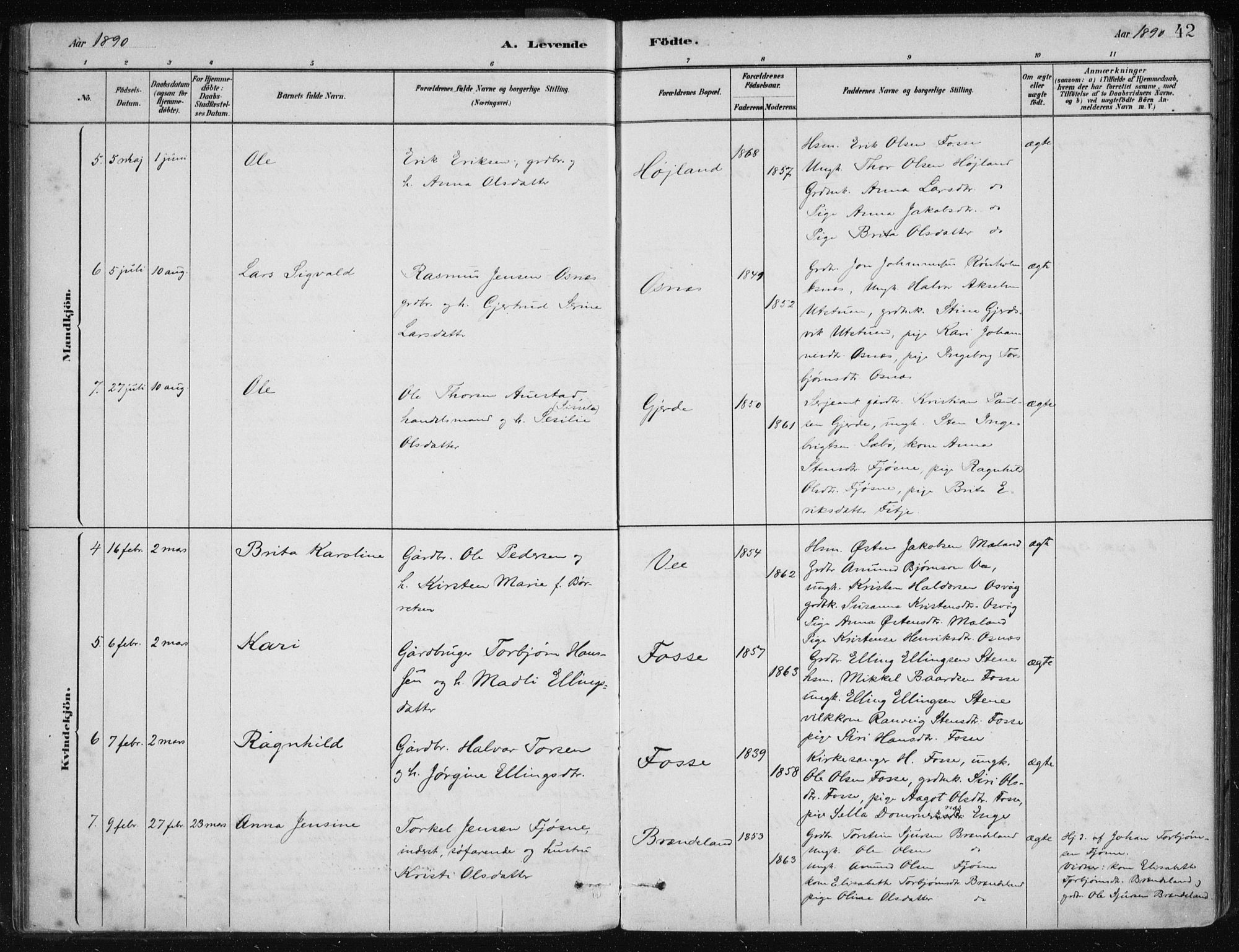 Etne sokneprestembete, AV/SAB-A-75001/H/Haa: Parish register (official) no. C  1, 1879-1919, p. 42