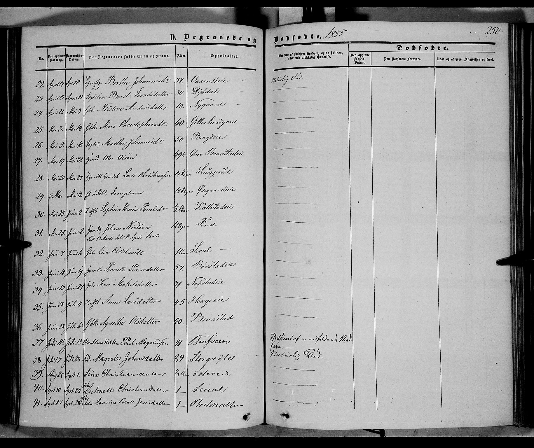 Vardal prestekontor, SAH/PREST-100/H/Ha/Haa/L0006: Parish register (official) no. 6, 1854-1866, p. 250