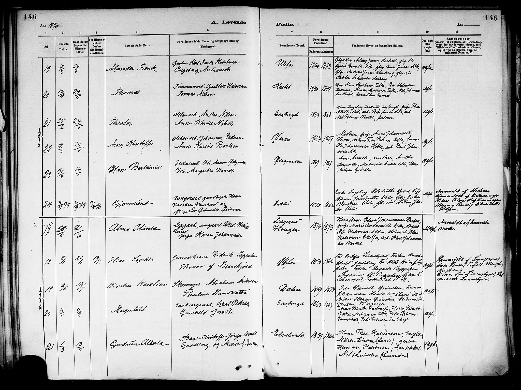 Holla kirkebøker, AV/SAKO-A-272/F/Fa/L0008: Parish register (official) no. 8, 1882-1897, p. 146