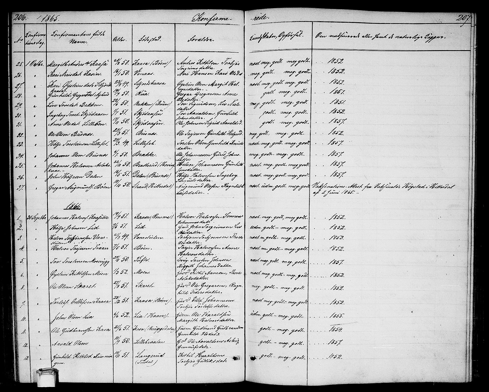 Gransherad kirkebøker, SAKO/A-267/G/Ga/L0002: Parish register (copy) no. I 2, 1854-1886, p. 206-207
