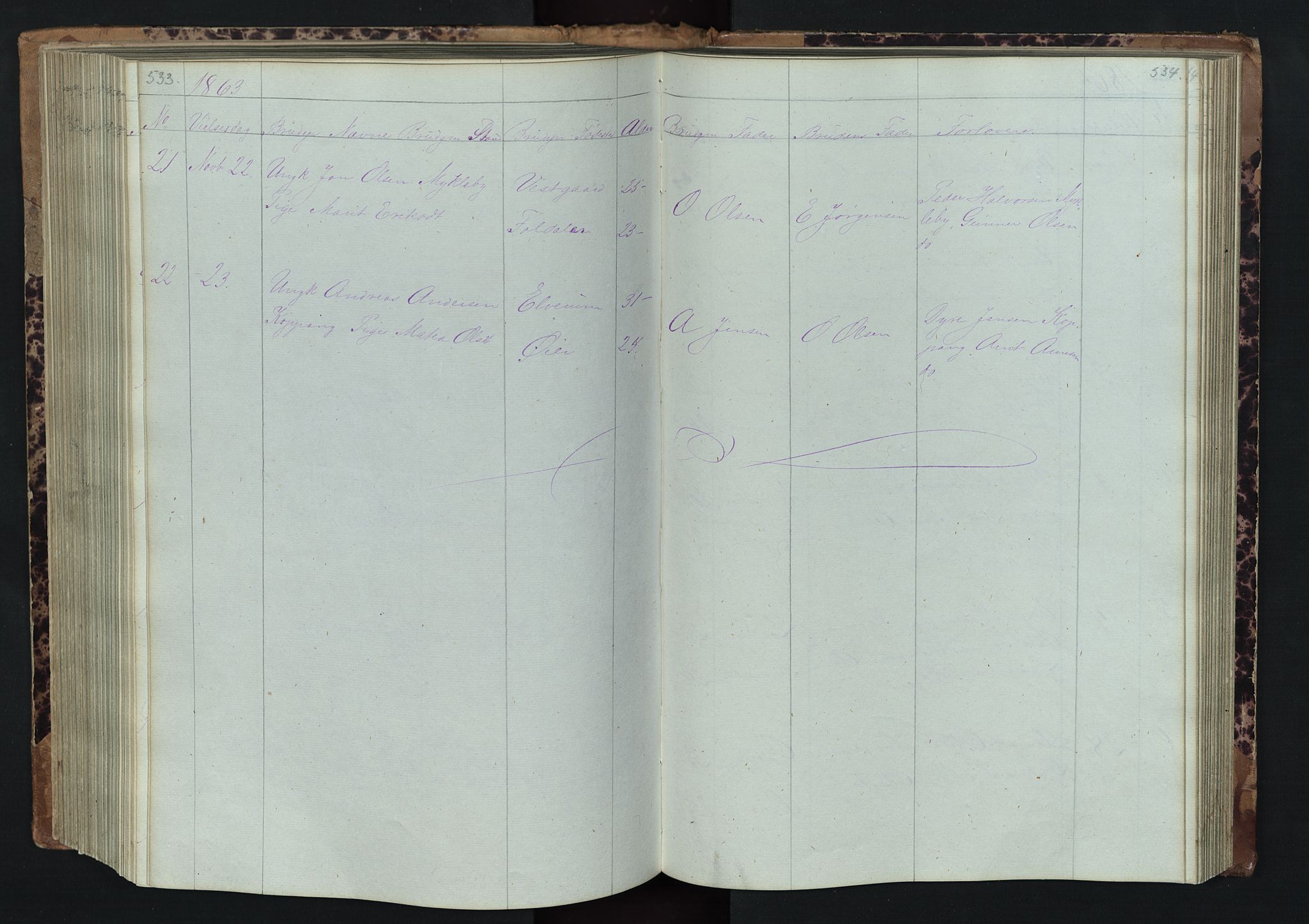 Stor-Elvdal prestekontor, SAH/PREST-052/H/Ha/Hab/L0001: Parish register (copy) no. 1 /1, 1860-1894, p. 533-534
