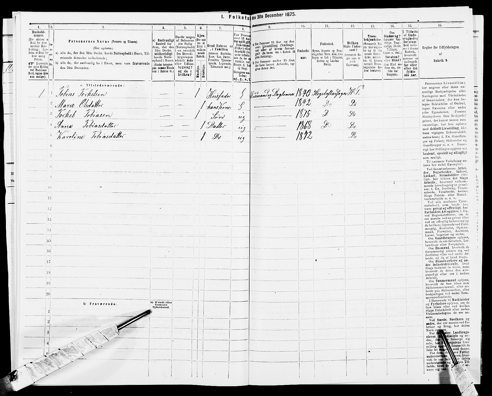 SAK, 1875 census for 1034P Hægebostad, 1875, p. 342