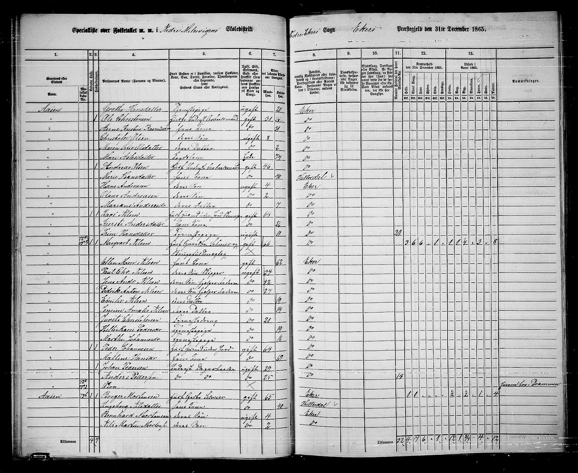 RA, 1865 census for Eiker, 1865, p. 307