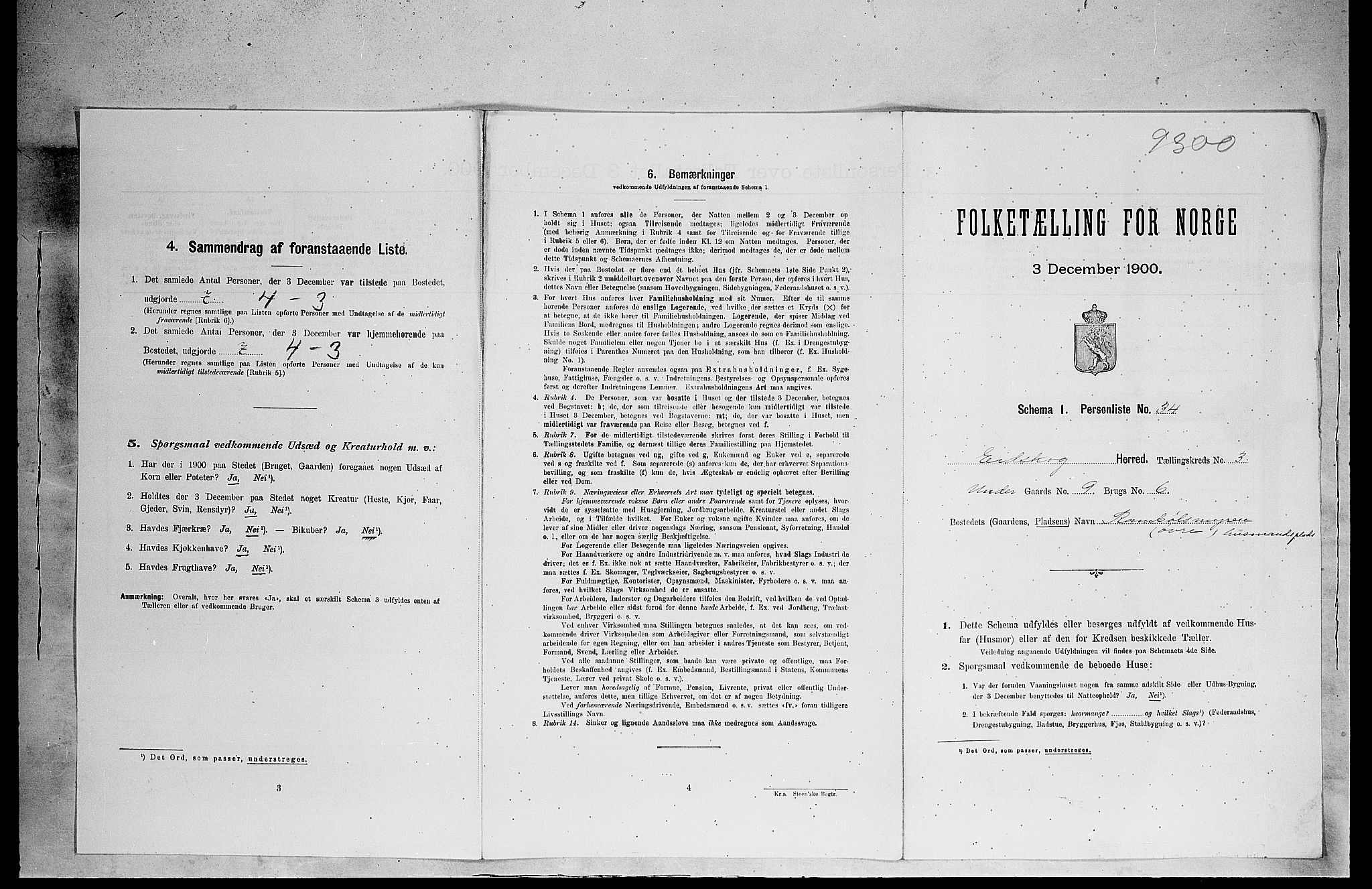 SAH, 1900 census for Eidskog, 1900, p. 493