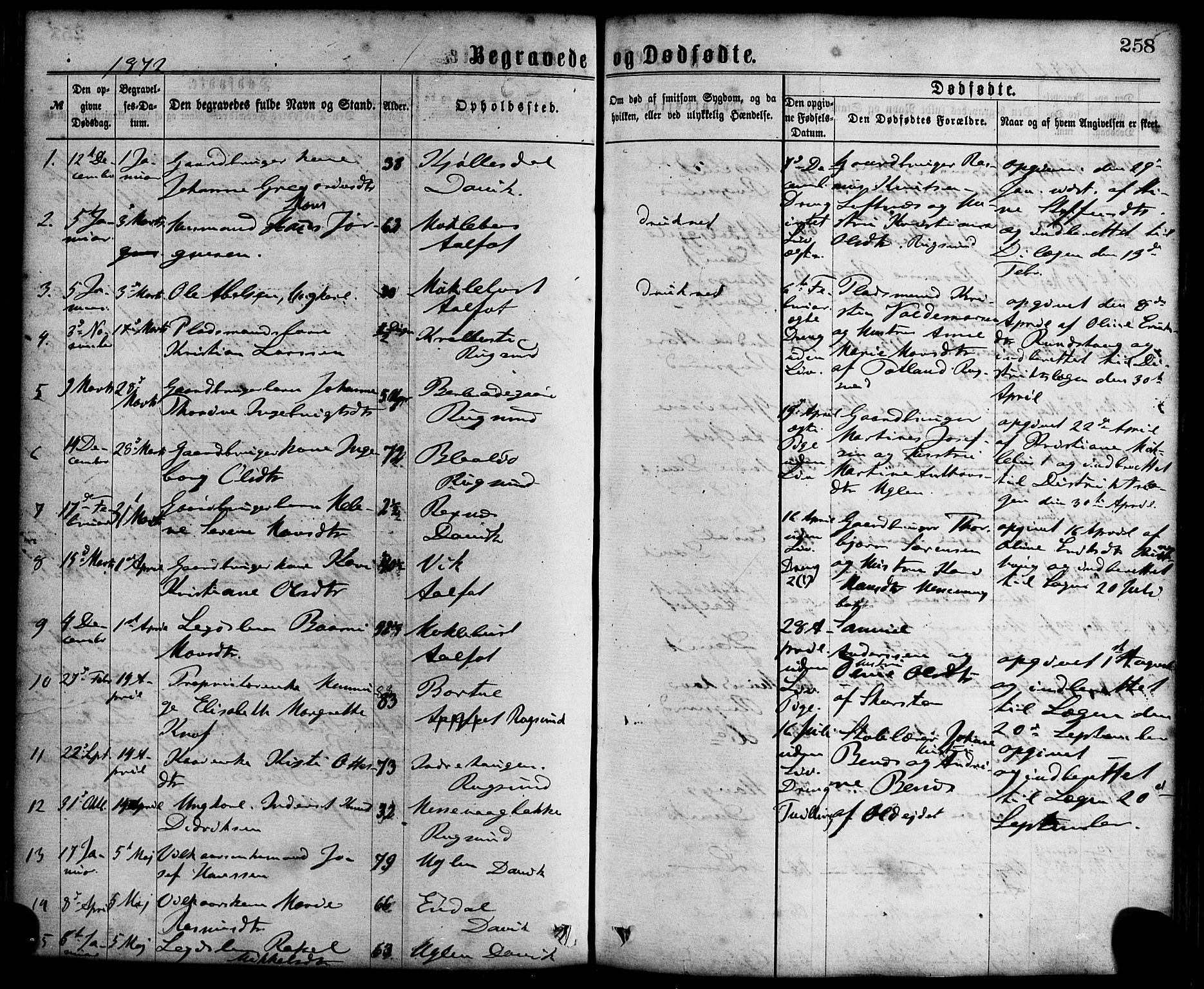 Davik sokneprestembete, SAB/A-79701/H/Haa/Haaa/L0006: Parish register (official) no. A 6, 1867-1881, p. 258