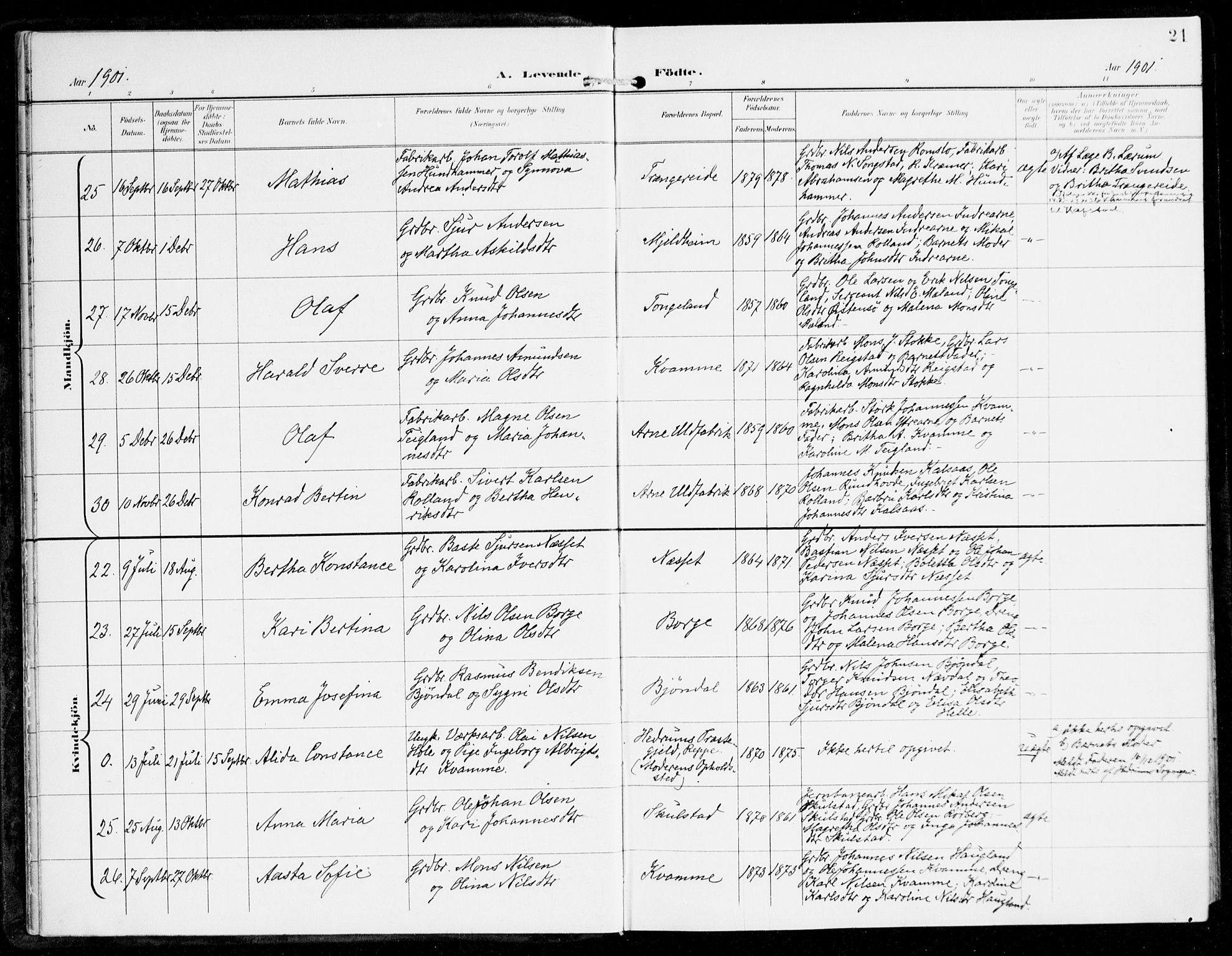 Haus sokneprestembete, AV/SAB-A-75601/H/Haa: Parish register (official) no. D 2, 1899-1912, p. 21