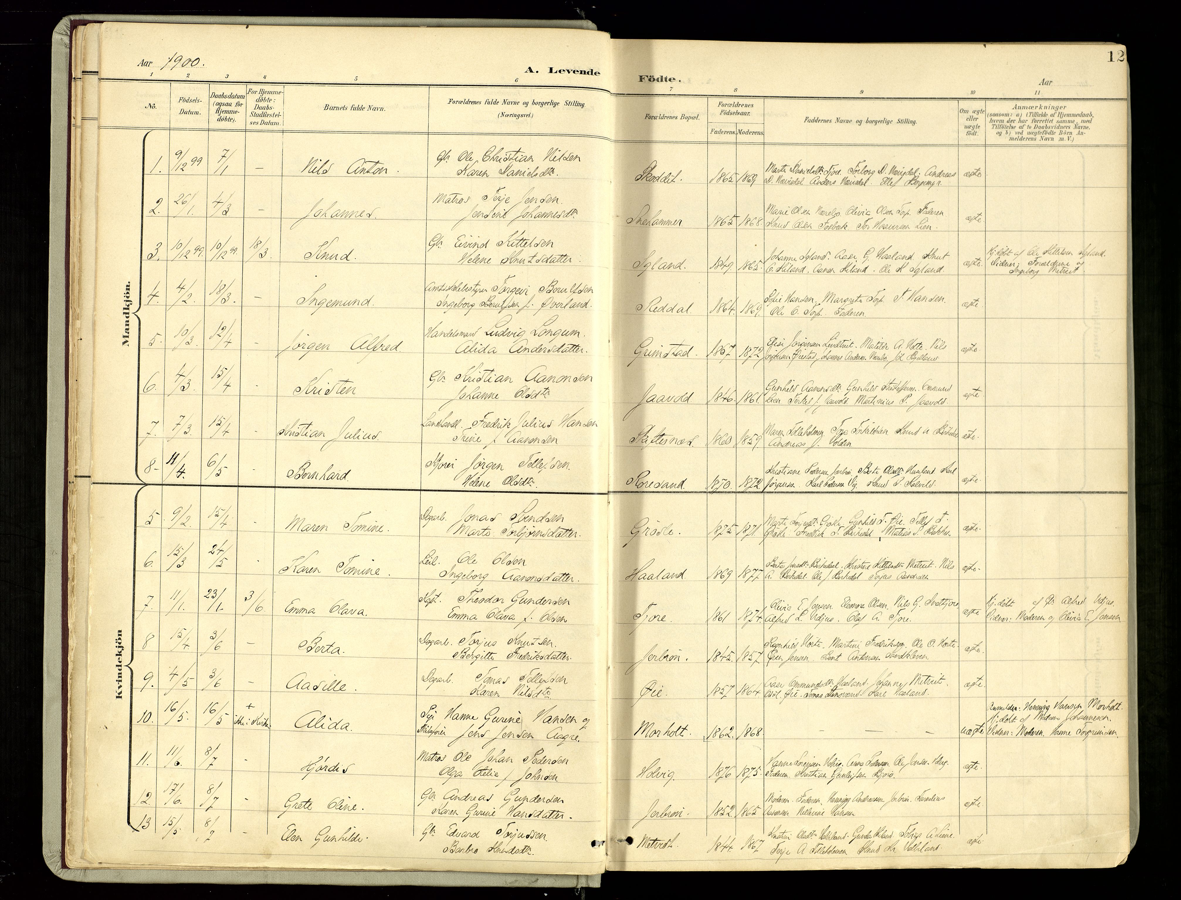 Hommedal sokneprestkontor, AV/SAK-1111-0023/F/Fa/Fab/L0007: Parish register (official) no. A 7, 1898-1924, p. 12