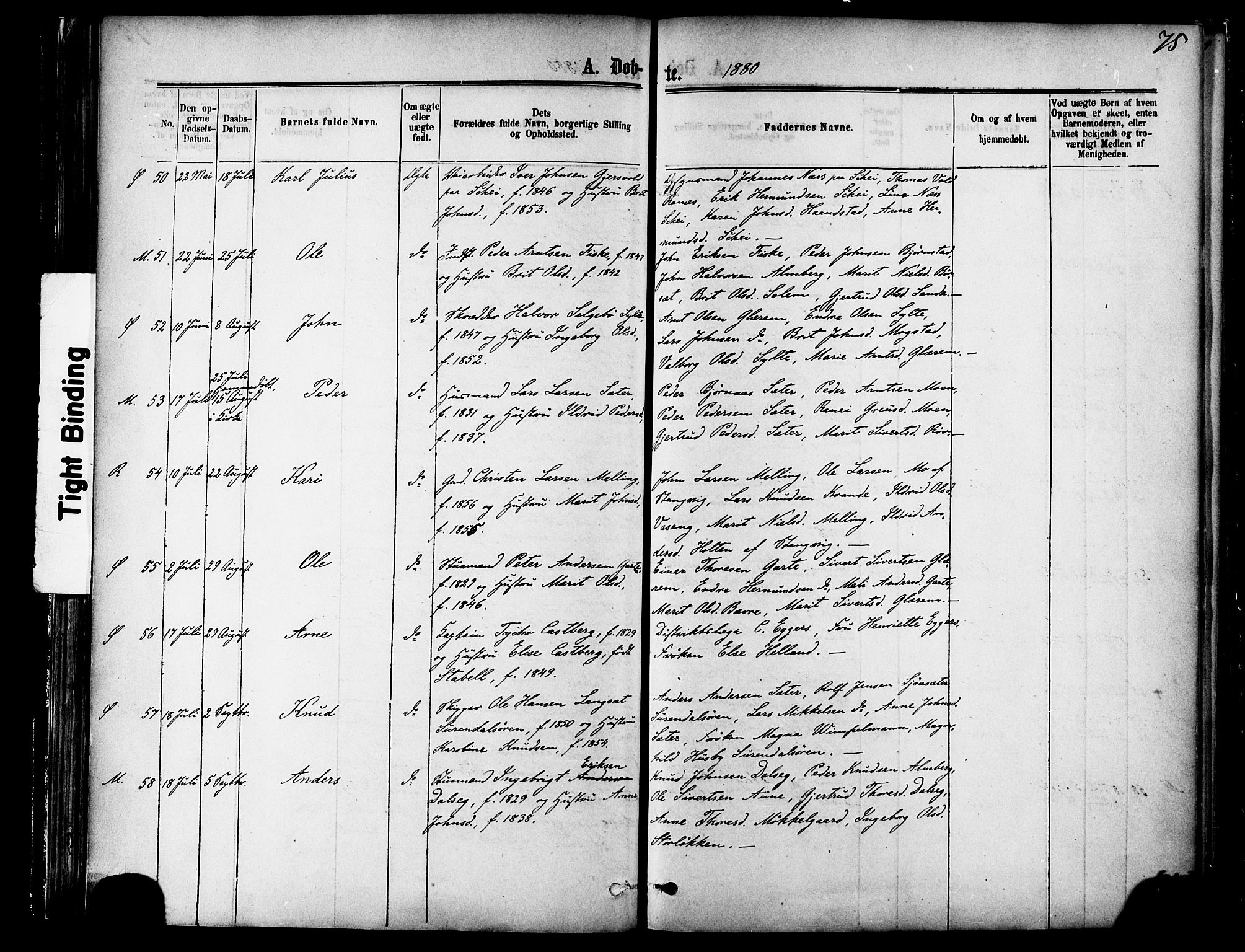 Ministerialprotokoller, klokkerbøker og fødselsregistre - Møre og Romsdal, AV/SAT-A-1454/595/L1046: Parish register (official) no. 595A08, 1874-1884, p. 75