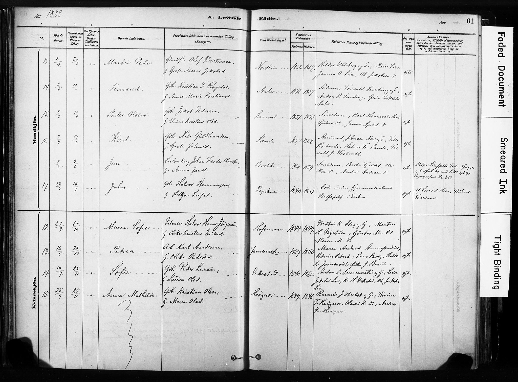 Sandsvær kirkebøker, AV/SAKO-A-244/F/Fb/L0001: Parish register (official) no. II 1, 1878-1906, p. 61