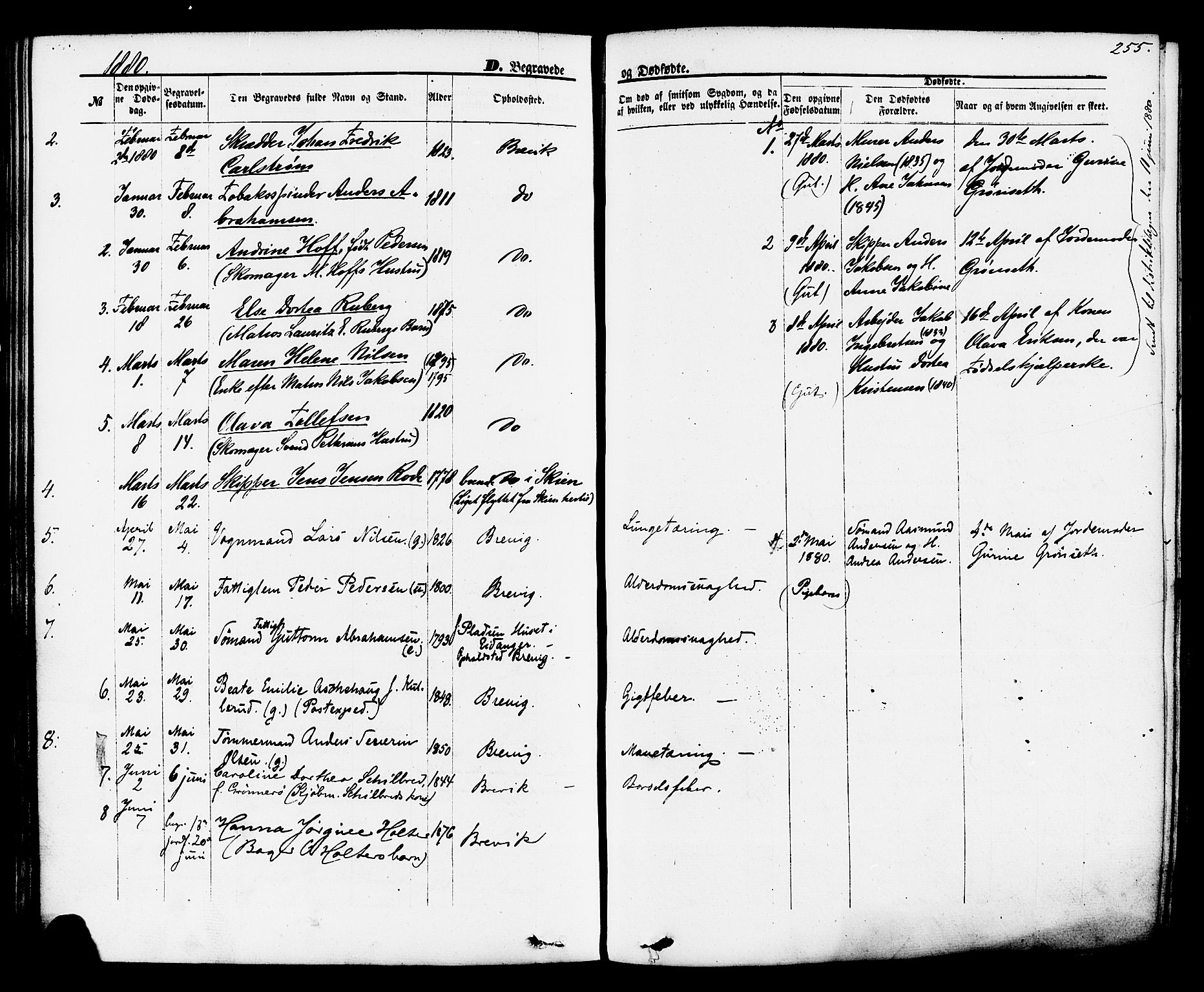 Brevik kirkebøker, AV/SAKO-A-255/F/Fa/L0006: Parish register (official) no. 6, 1866-1881, p. 255