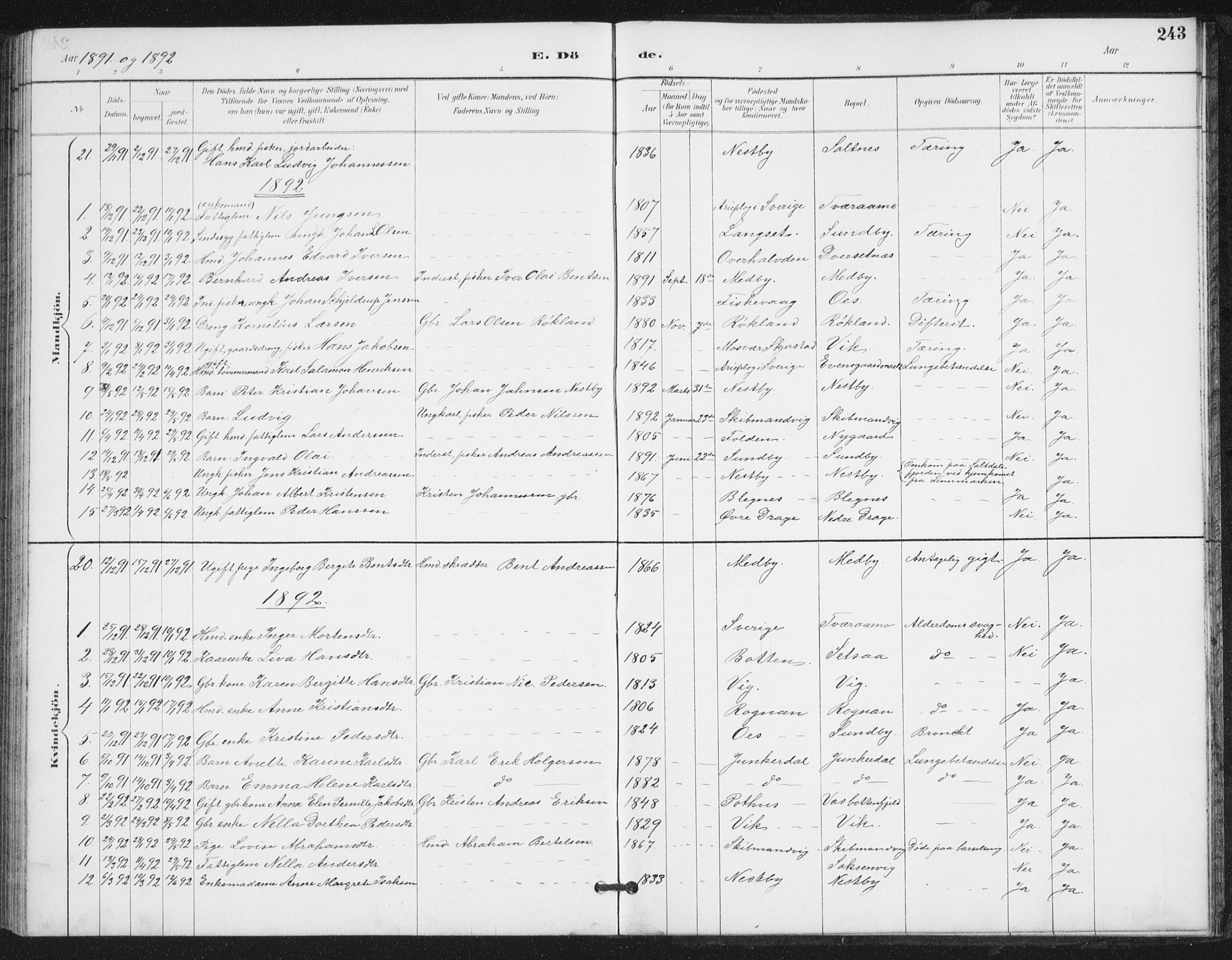 Ministerialprotokoller, klokkerbøker og fødselsregistre - Nordland, SAT/A-1459/847/L0682: Parish register (copy) no. 847C10, 1889-1907, p. 243