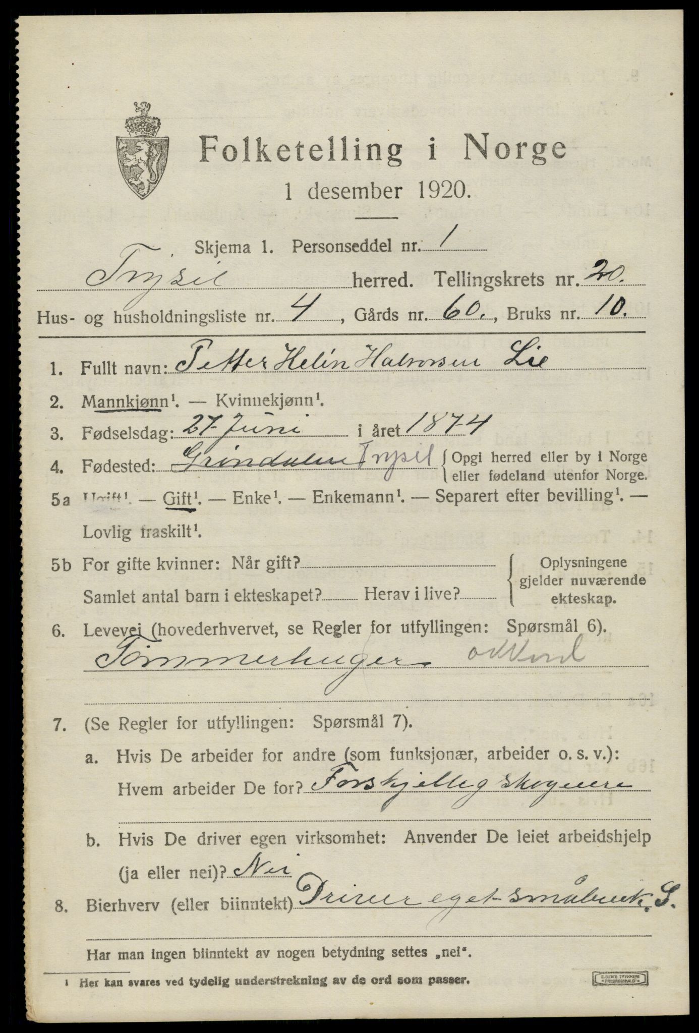 SAH, 1920 census for Trysil, 1920, p. 13039