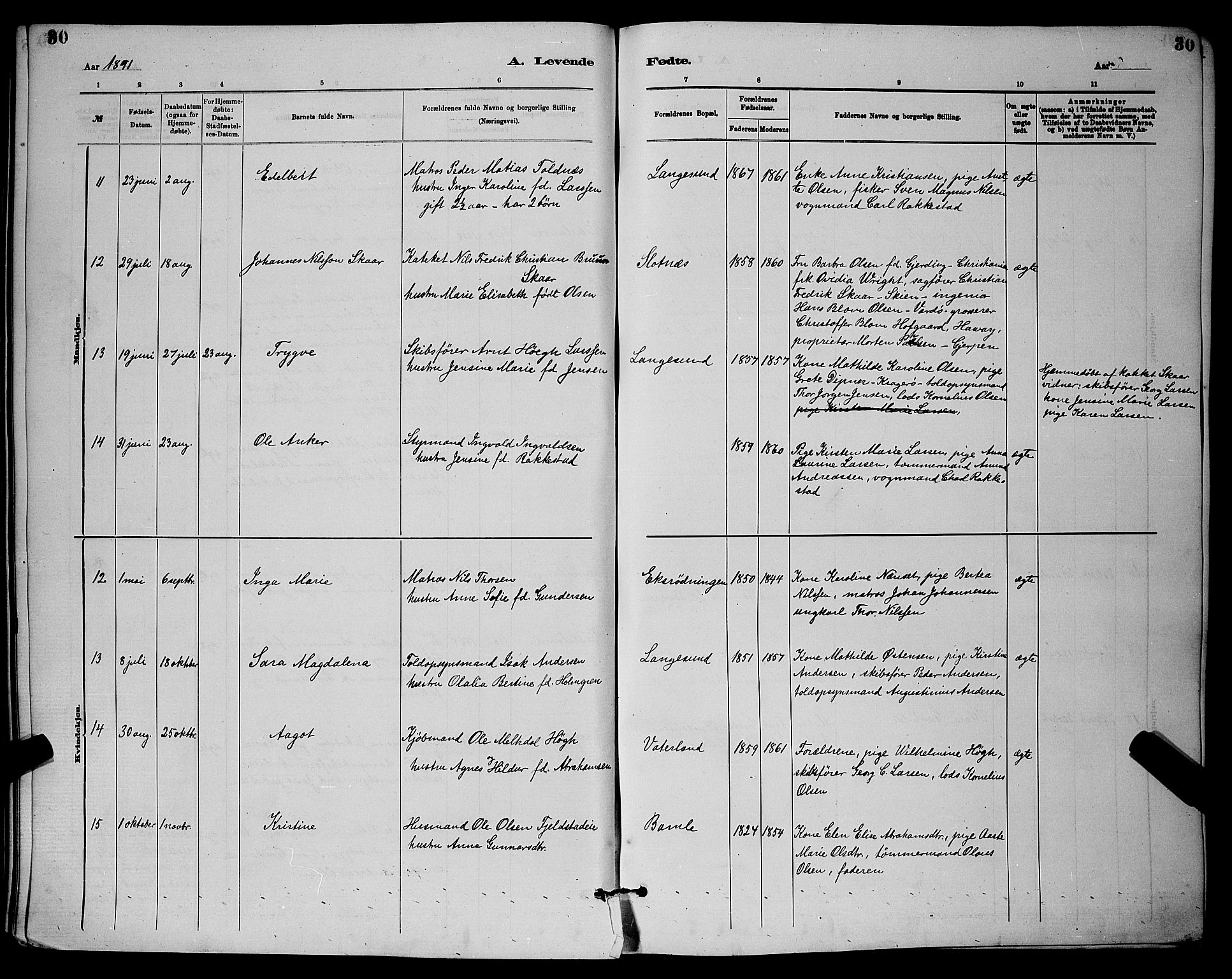 Langesund kirkebøker, SAKO/A-280/G/Ga/L0005: Parish register (copy) no. 5, 1884-1898, p. 30