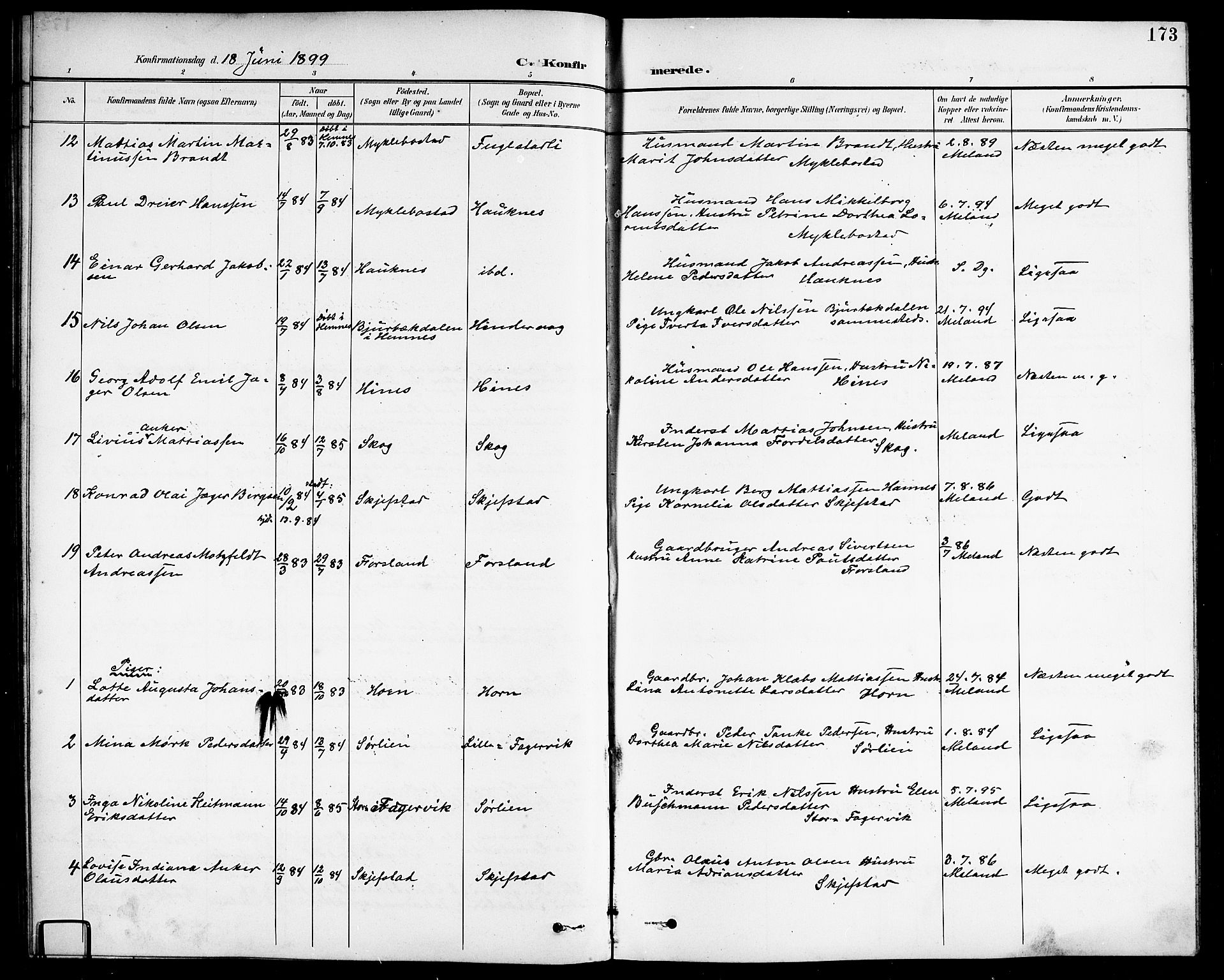 Ministerialprotokoller, klokkerbøker og fødselsregistre - Nordland, AV/SAT-A-1459/838/L0559: Parish register (copy) no. 838C06, 1893-1910, p. 173