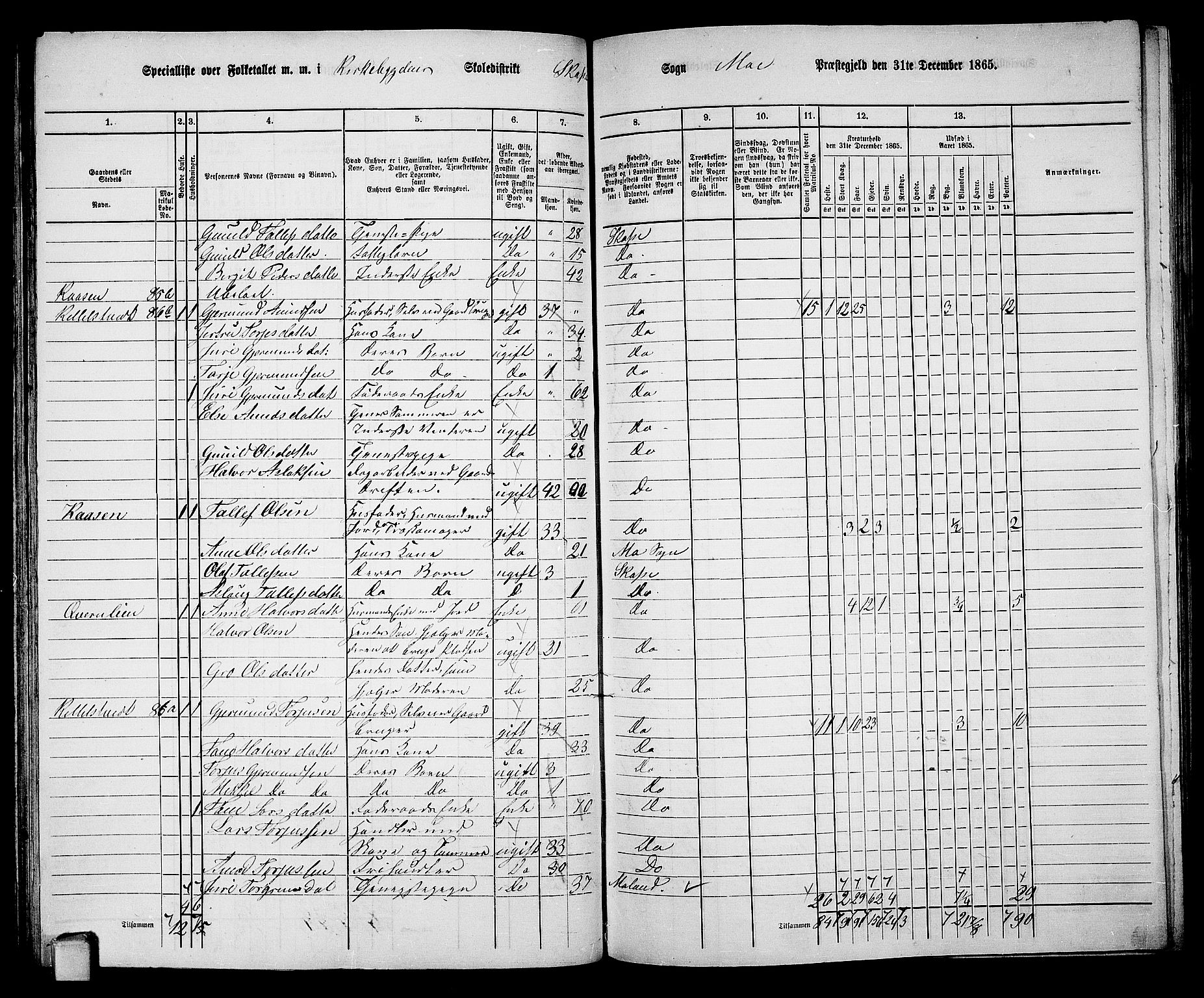 RA, 1865 census for Mo, 1865, p. 69