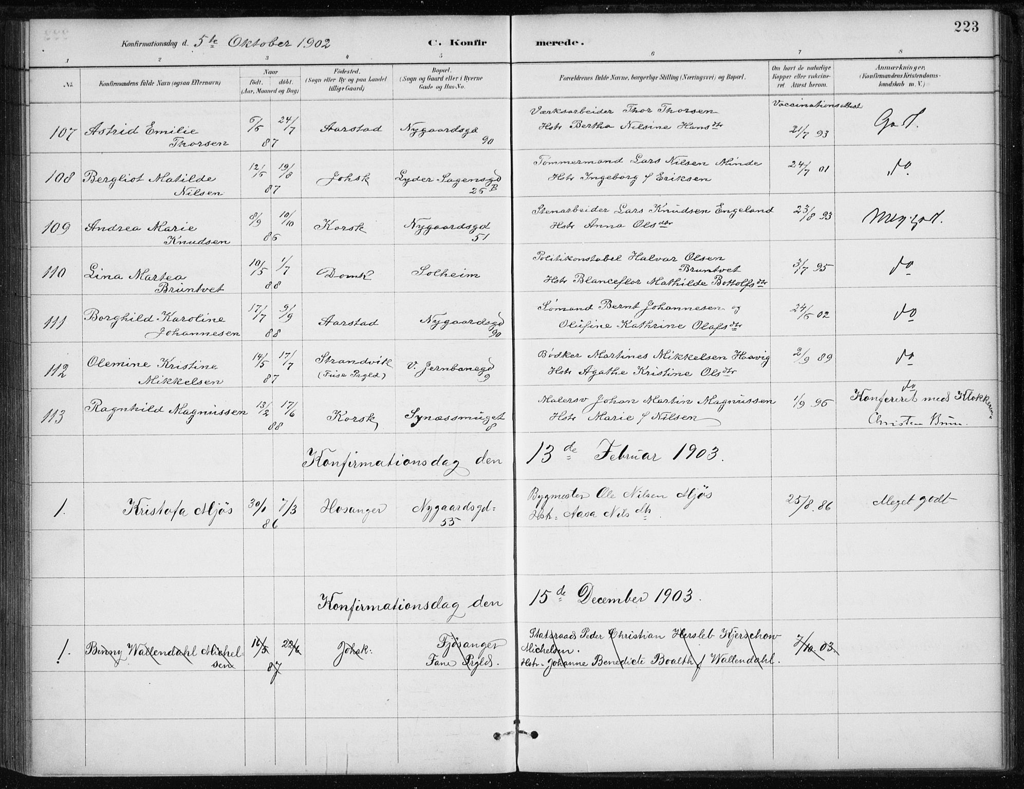 Johanneskirken sokneprestembete, AV/SAB-A-76001/H/Haa/L0008: Parish register (official) no. C 1, 1885-1907, p. 223