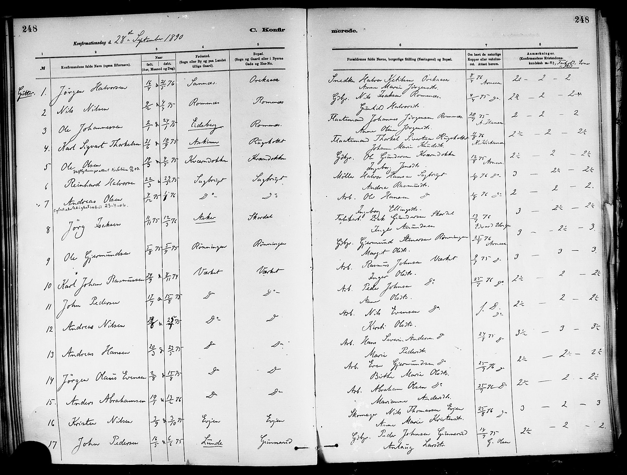 Holla kirkebøker, SAKO/A-272/F/Fa/L0008: Parish register (official) no. 8, 1882-1897, p. 248