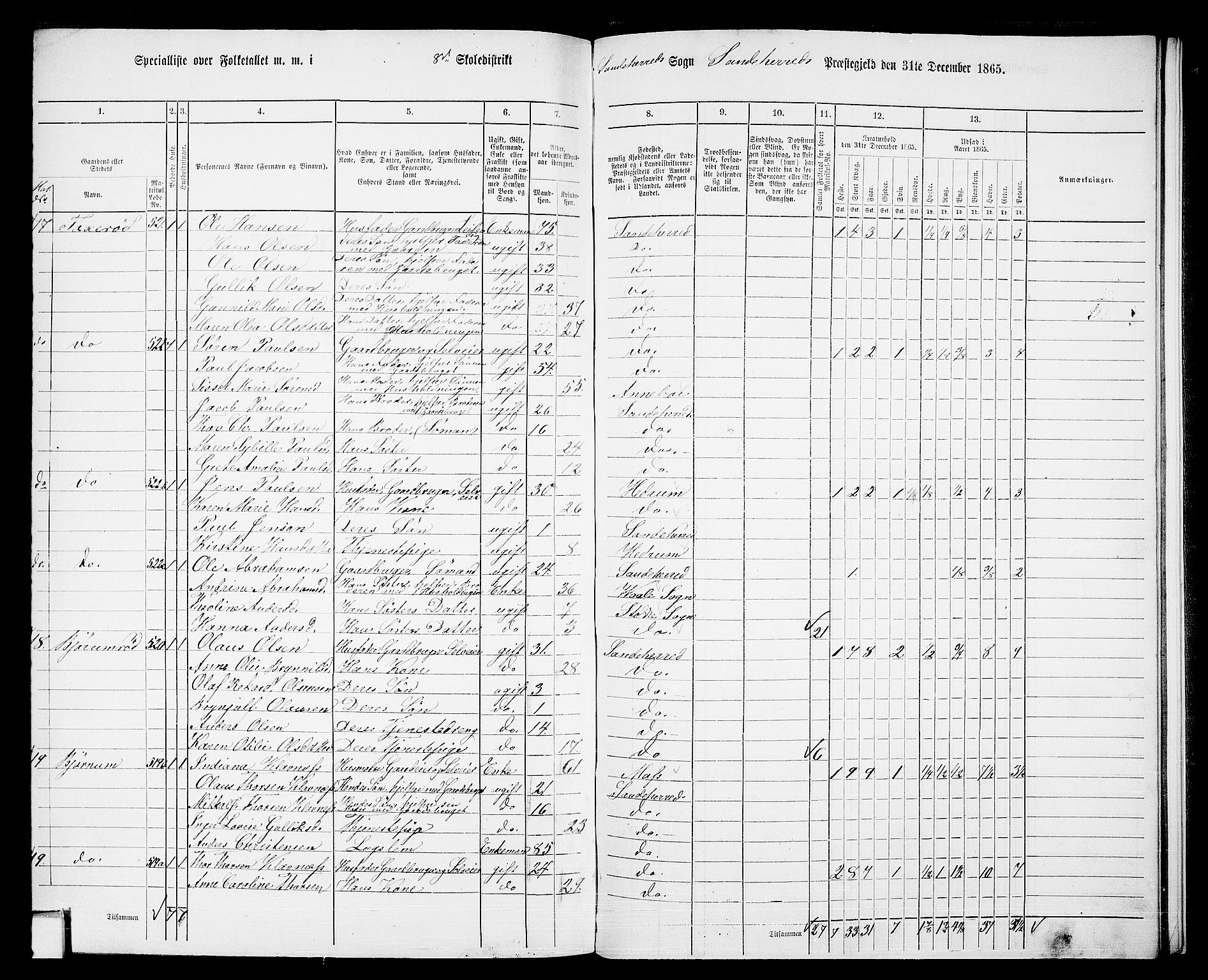 RA, 1865 census for Sandeherred/Sandeherred, 1865, p. 202