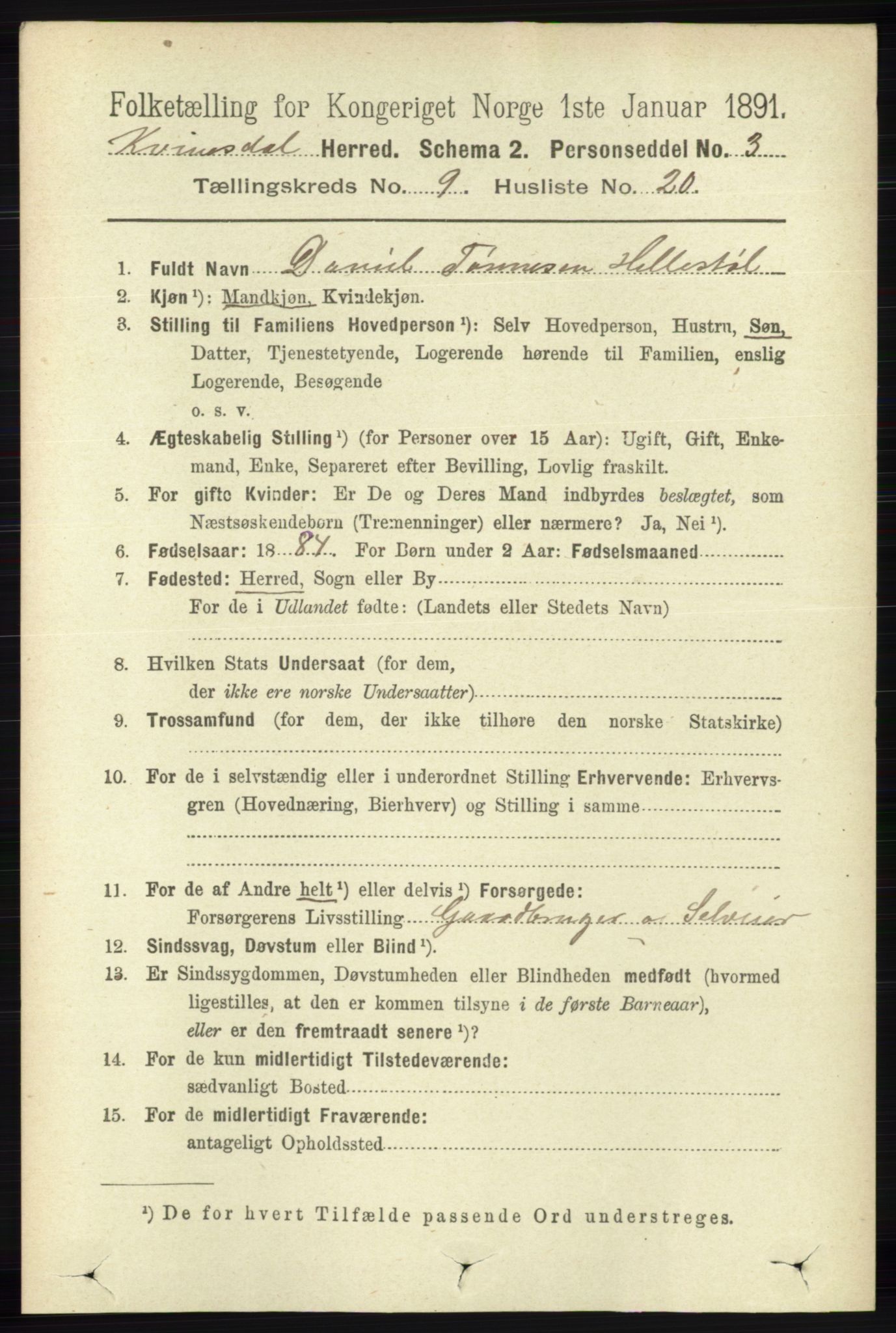 RA, 1891 census for 1037 Kvinesdal, 1891, p. 3390