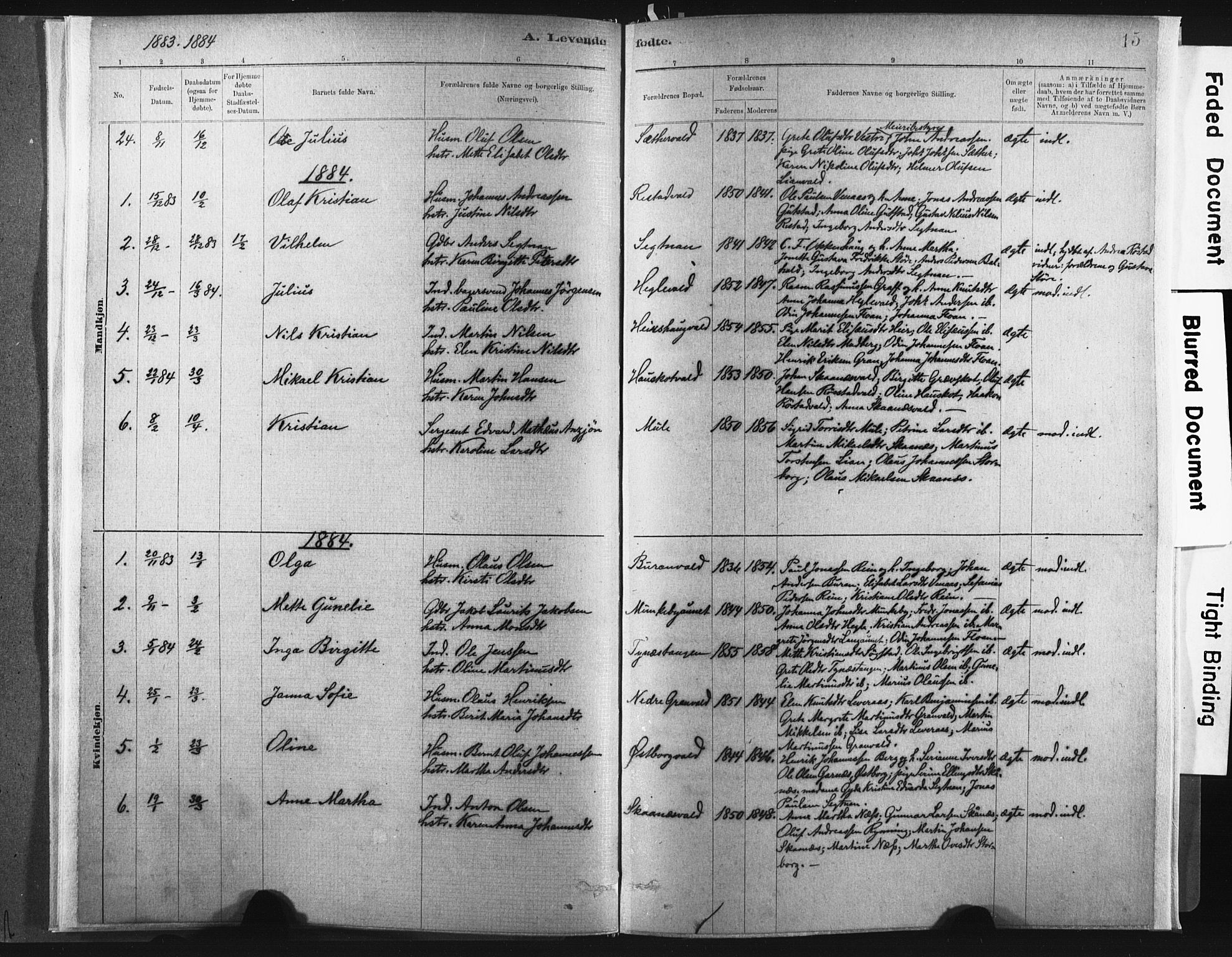Ministerialprotokoller, klokkerbøker og fødselsregistre - Nord-Trøndelag, SAT/A-1458/721/L0207: Parish register (official) no. 721A02, 1880-1911, p. 15