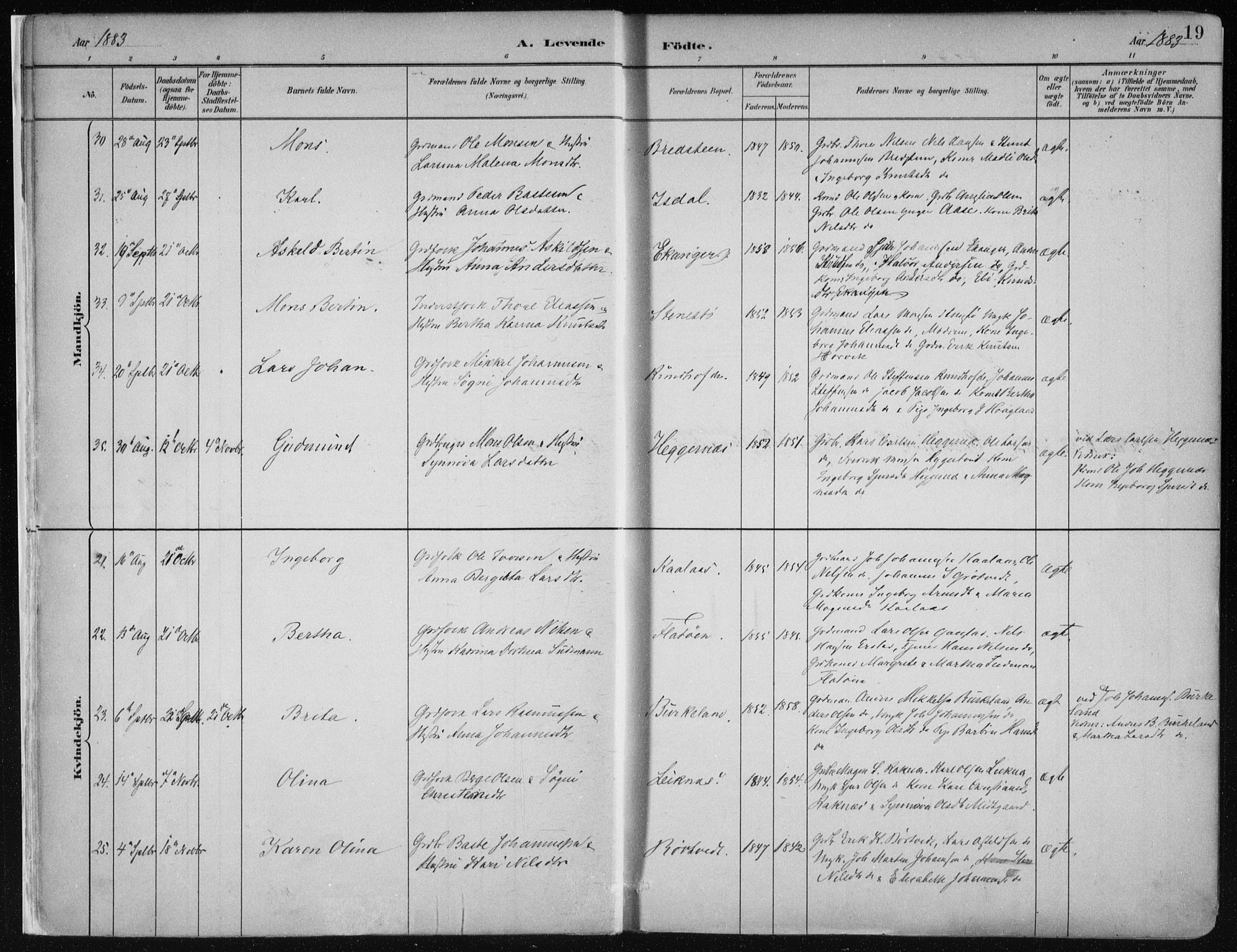 Hamre sokneprestembete, AV/SAB-A-75501/H/Ha/Haa/Haab/L0001: Parish register (official) no. B  1, 1882-1905, p. 19