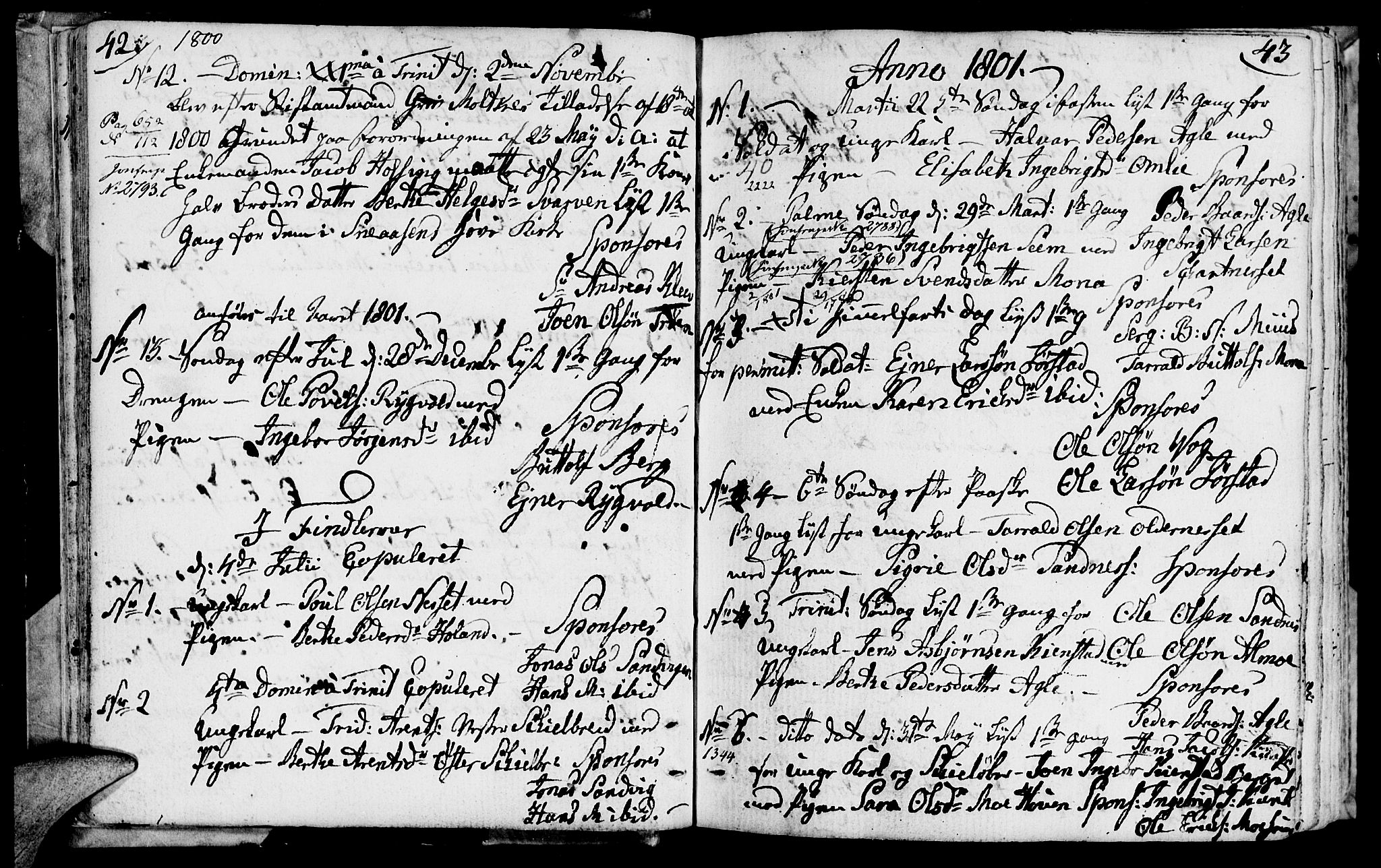 Ministerialprotokoller, klokkerbøker og fødselsregistre - Nord-Trøndelag, SAT/A-1458/749/L0468: Parish register (official) no. 749A02, 1787-1817, p. 42-43