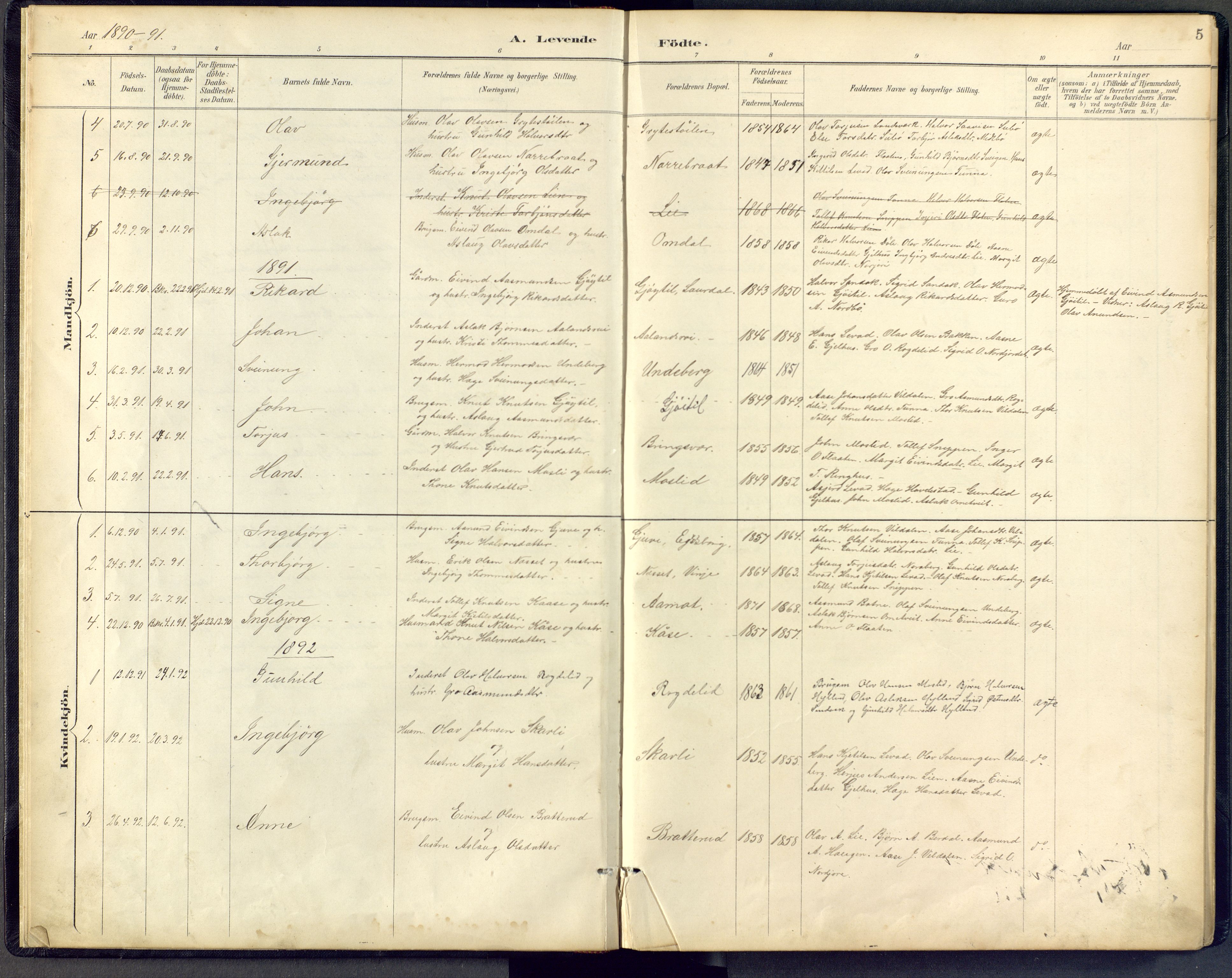 Vinje kirkebøker, SAKO/A-312/F/Fb/L0002: Parish register (official) no. II 2, 1887-1925, p. 5