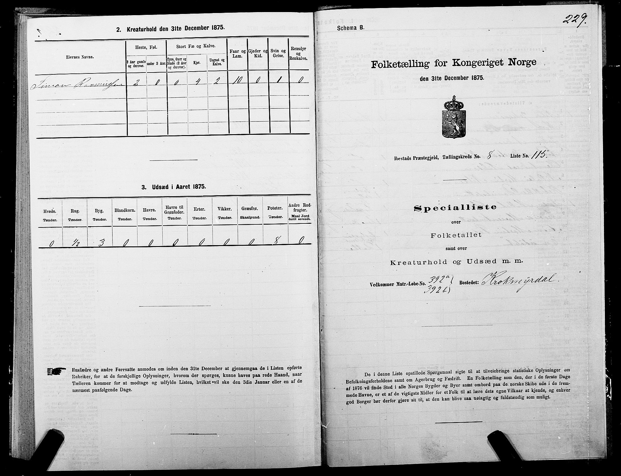 SATØ, 1875 census for 1917P Ibestad, 1875, p. 5229