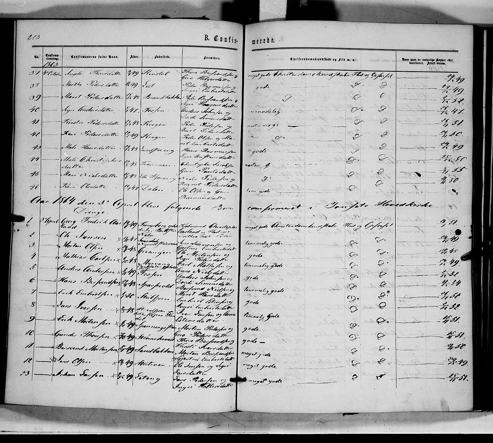 Tynset prestekontor, SAH/PREST-058/H/Ha/Haa/L0021: Parish register (official) no. 21, 1863-1879, p. 203