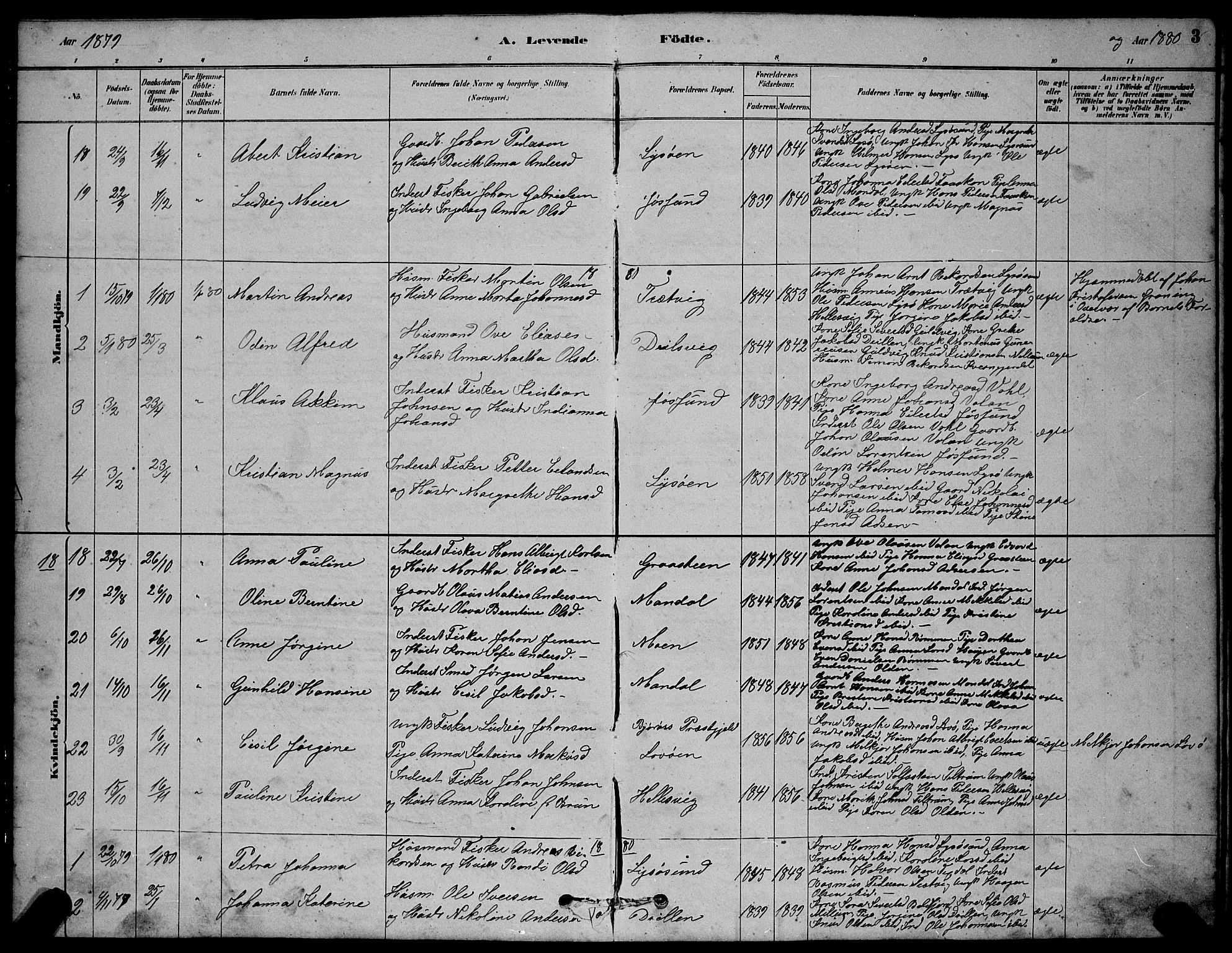 Ministerialprotokoller, klokkerbøker og fødselsregistre - Sør-Trøndelag, AV/SAT-A-1456/654/L0665: Parish register (copy) no. 654C01, 1879-1901, p. 3