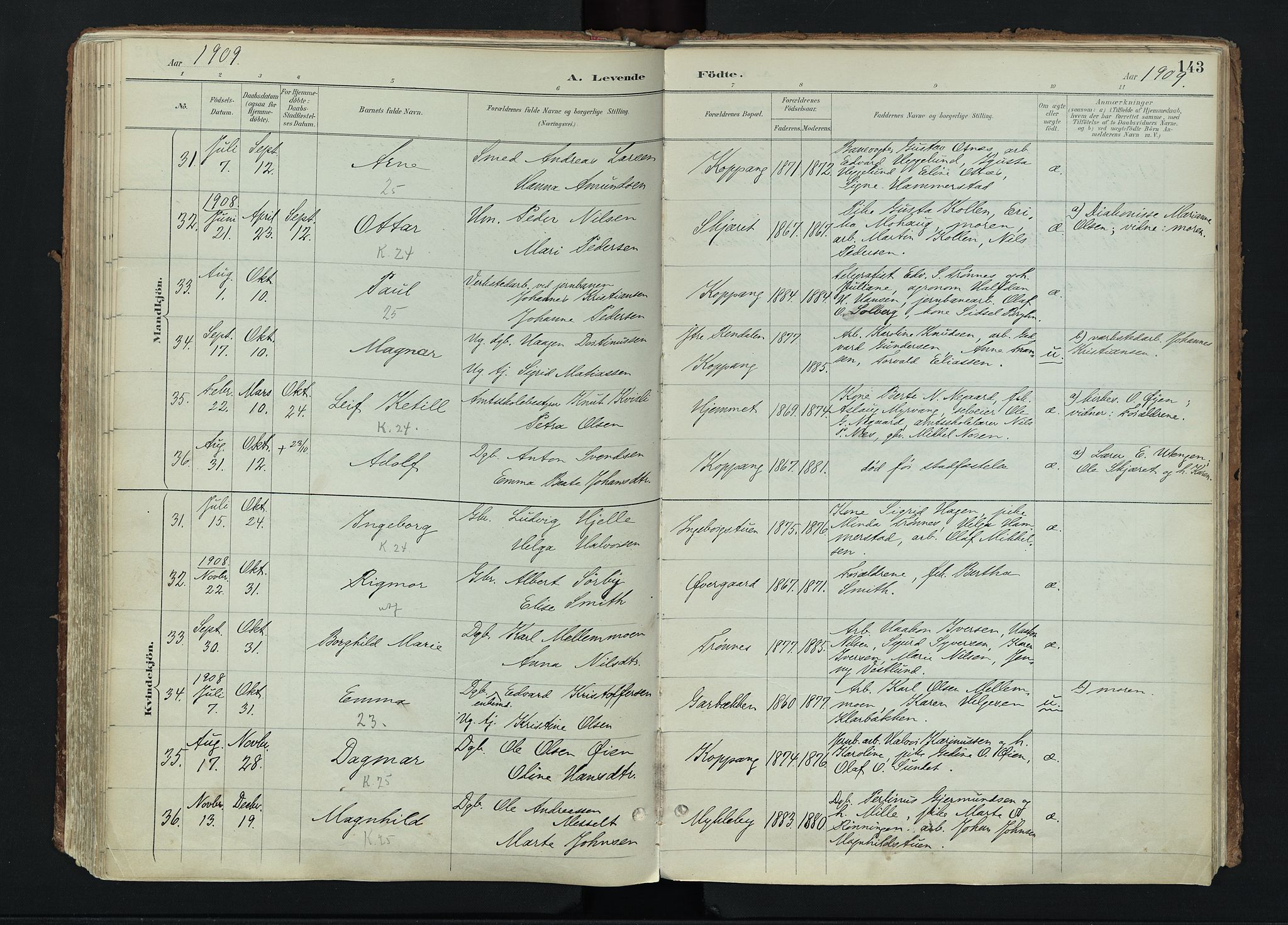 Stor-Elvdal prestekontor, AV/SAH-PREST-052/H/Ha/Haa/L0004: Parish register (official) no. 4, 1890-1922, p. 143