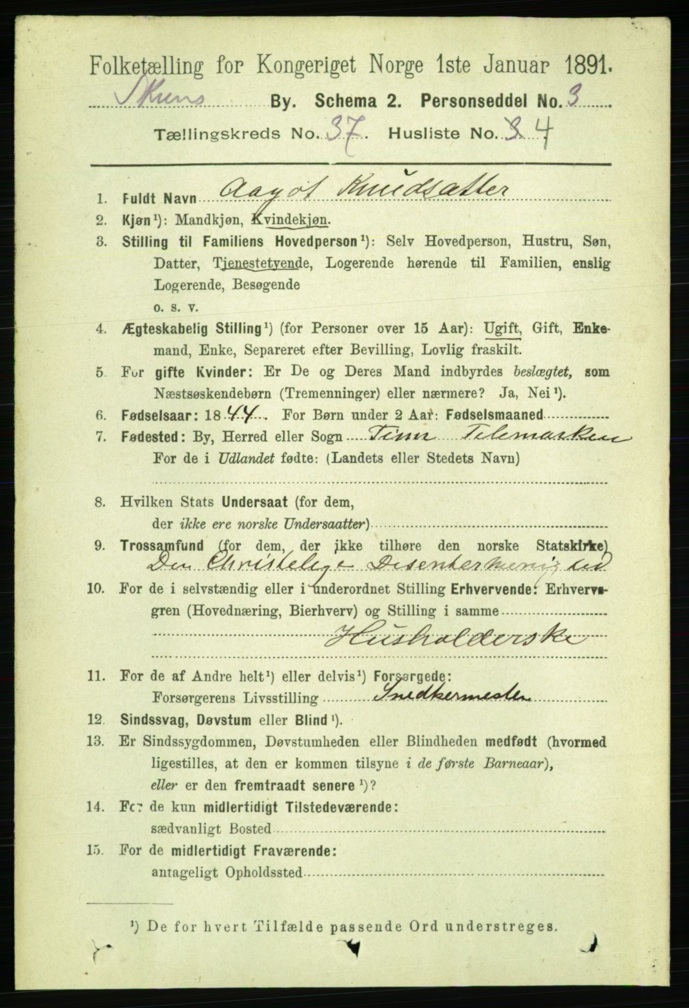 RA, 1891 census for 0806 Skien, 1891, p. 8107