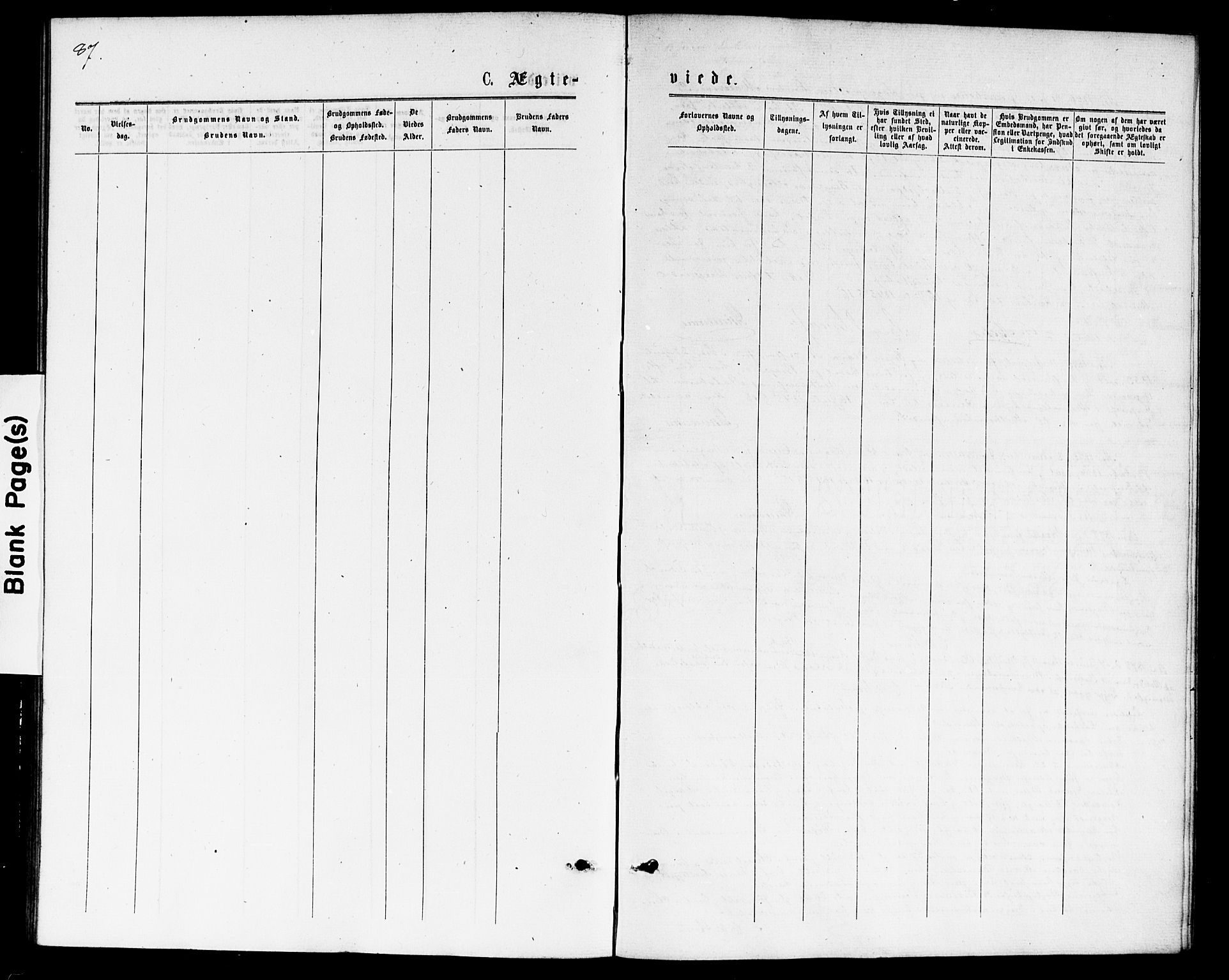 Bragernes kirkebøker, AV/SAKO-A-6/F/Fc/L0004: Parish register (official) no. III 4, 1875-1877, p. 87