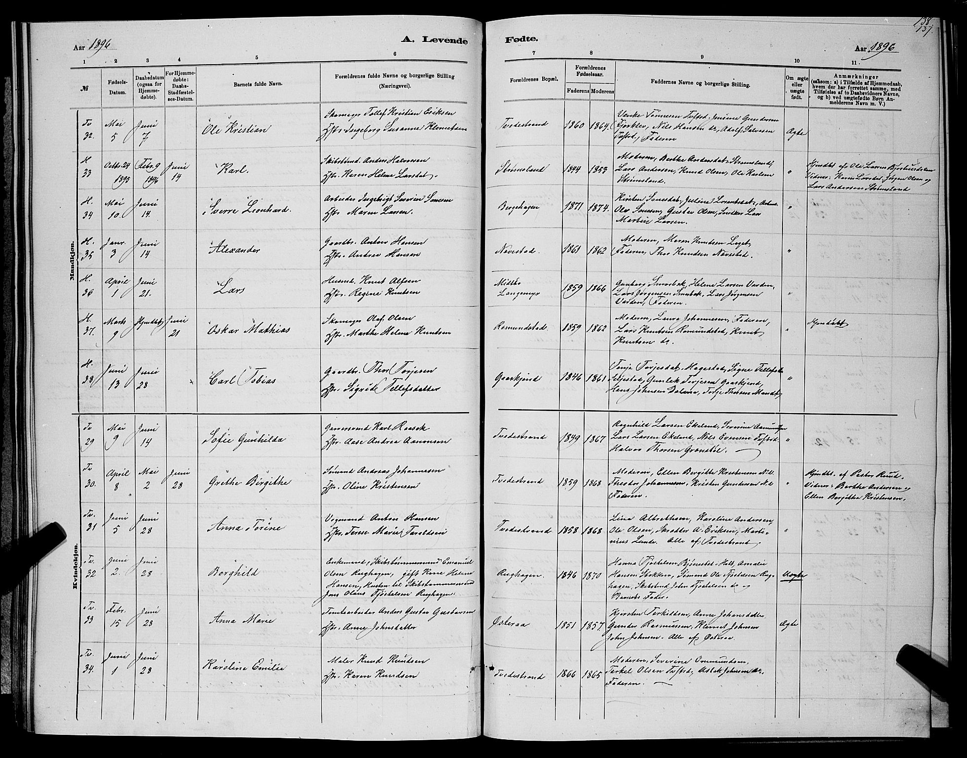 Holt sokneprestkontor, AV/SAK-1111-0021/F/Fb/L0010: Parish register (copy) no. B 10, 1883-1896, p. 137