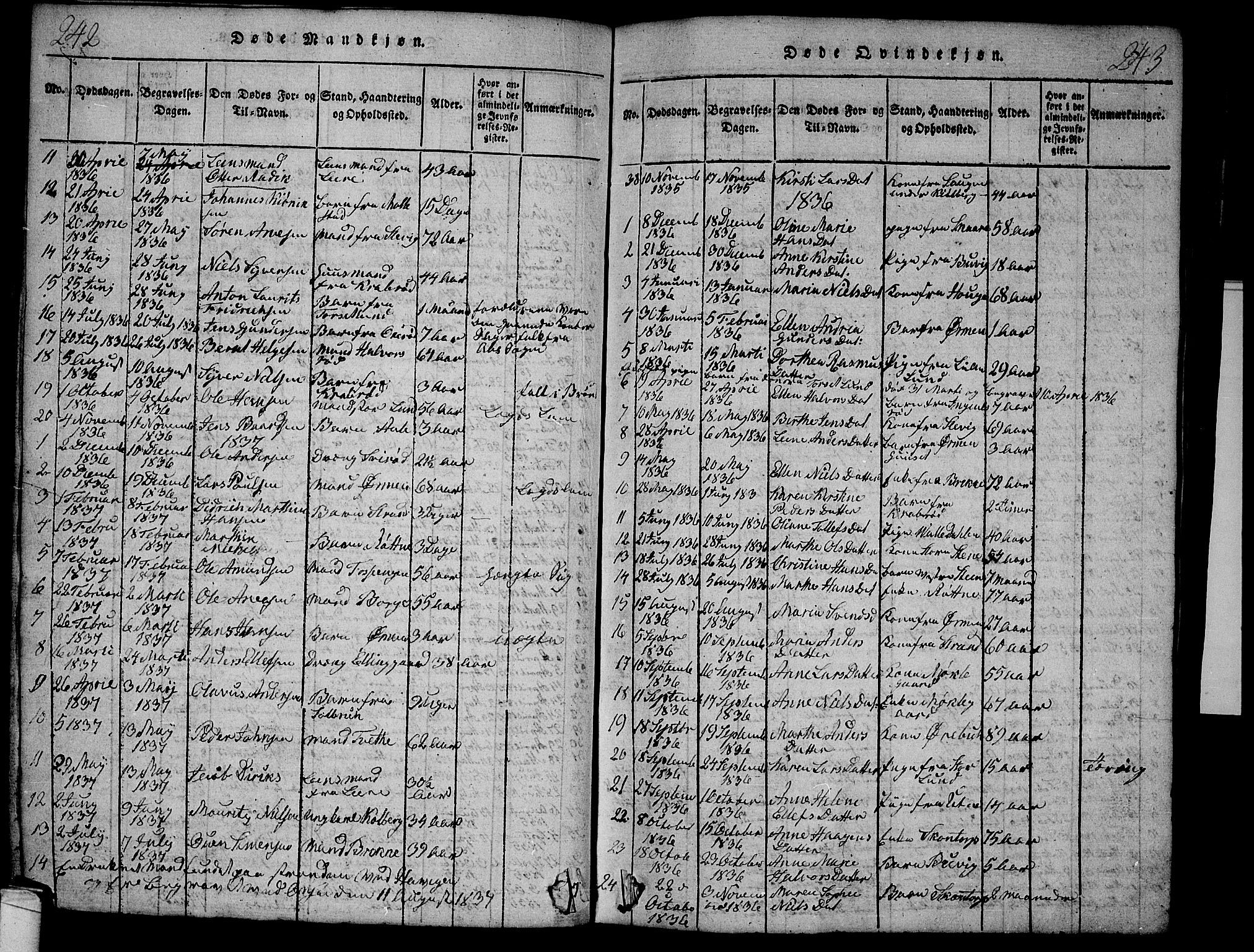 Onsøy prestekontor Kirkebøker, SAO/A-10914/G/Ga/L0001: Parish register (copy) no. I 1, 1814-1840, p. 242-243