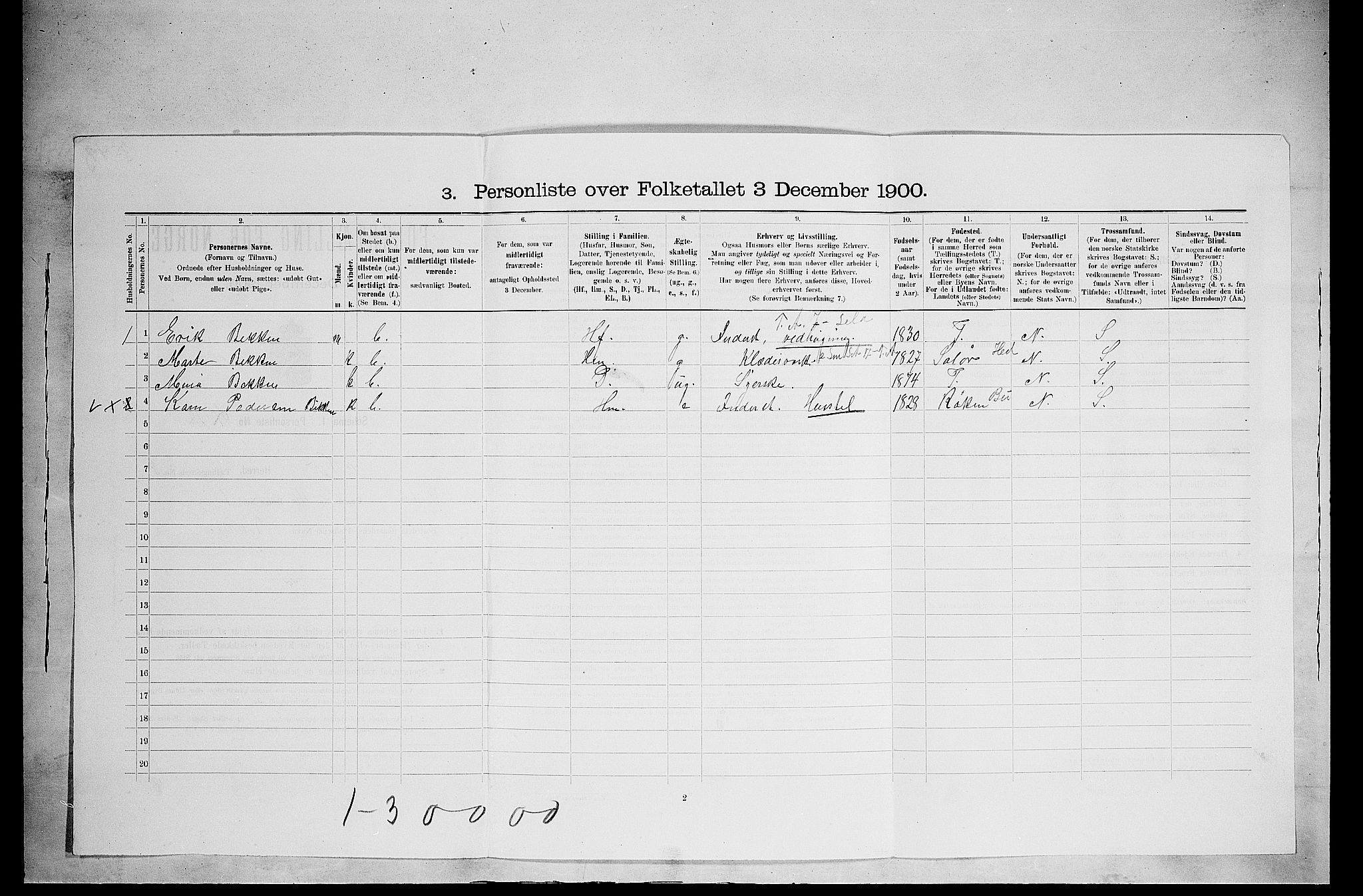 SAH, 1900 census for Nes, 1900, p. 491