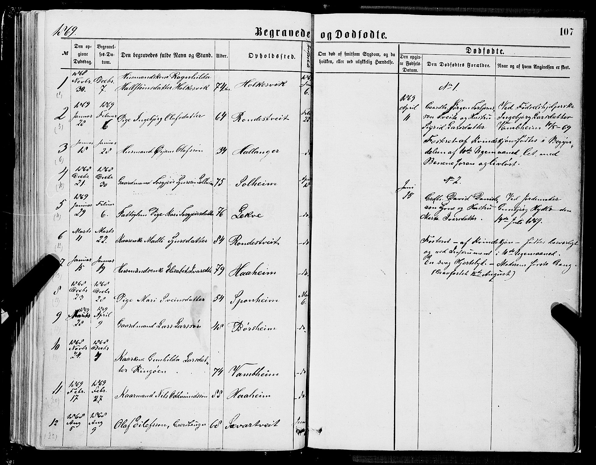 Ulvik sokneprestembete, SAB/A-78801/H/Hab: Parish register (copy) no. A 2, 1869-1882, p. 107