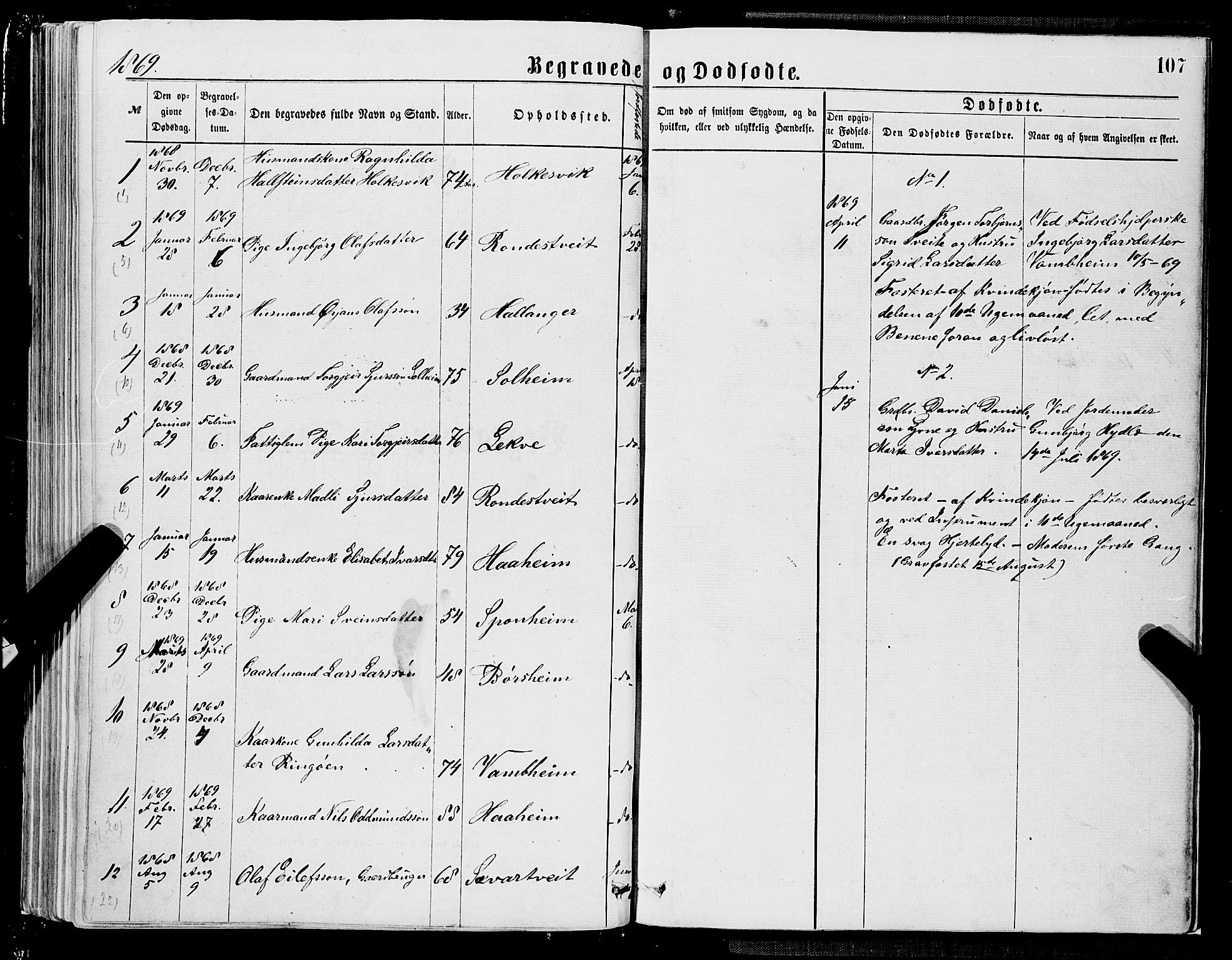 Ulvik sokneprestembete, AV/SAB-A-78801/H/Hab: Parish register (copy) no. A 2, 1869-1882, p. 107