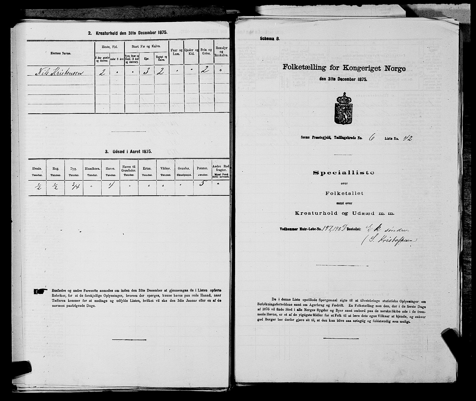 SAKO, 1875 census for 0721P Sem, 1875, p. 1105