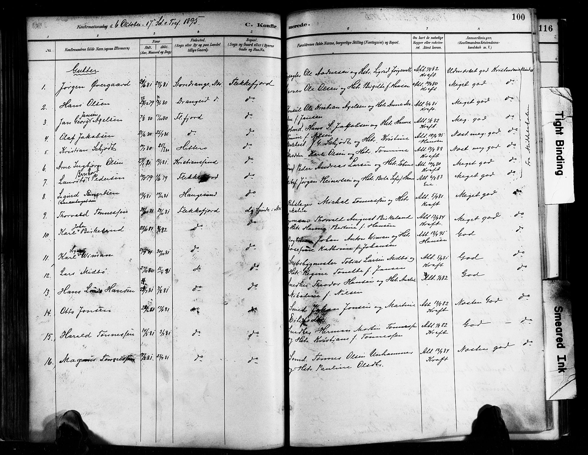 Flekkefjord sokneprestkontor, SAK/1111-0012/F/Fa/Faa/L0001: Parish register (official) no. A 1, 1885-1900, p. 100